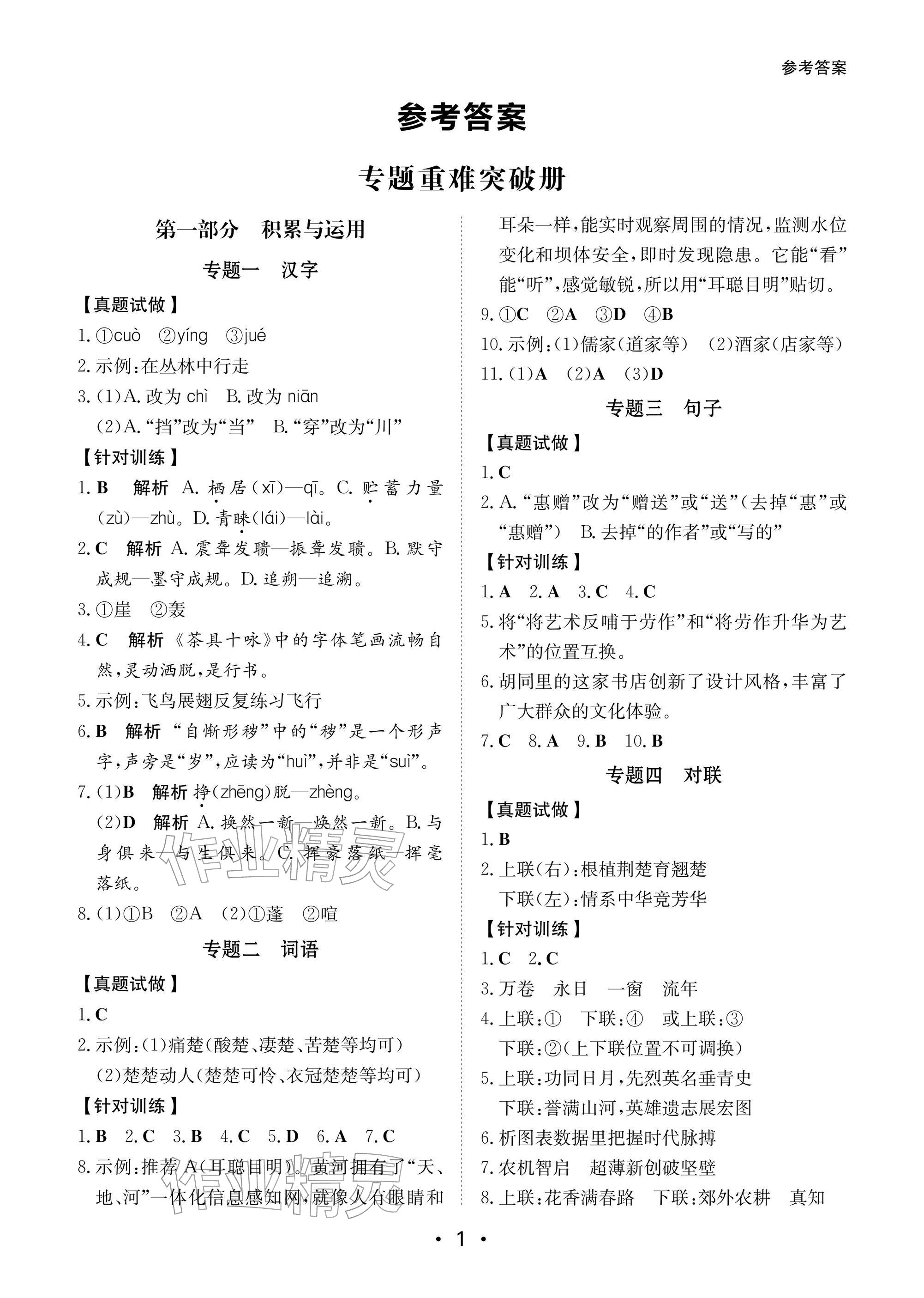 2026年中考导航大同出版传媒有限公司语文&nbsp;参考答案第1页