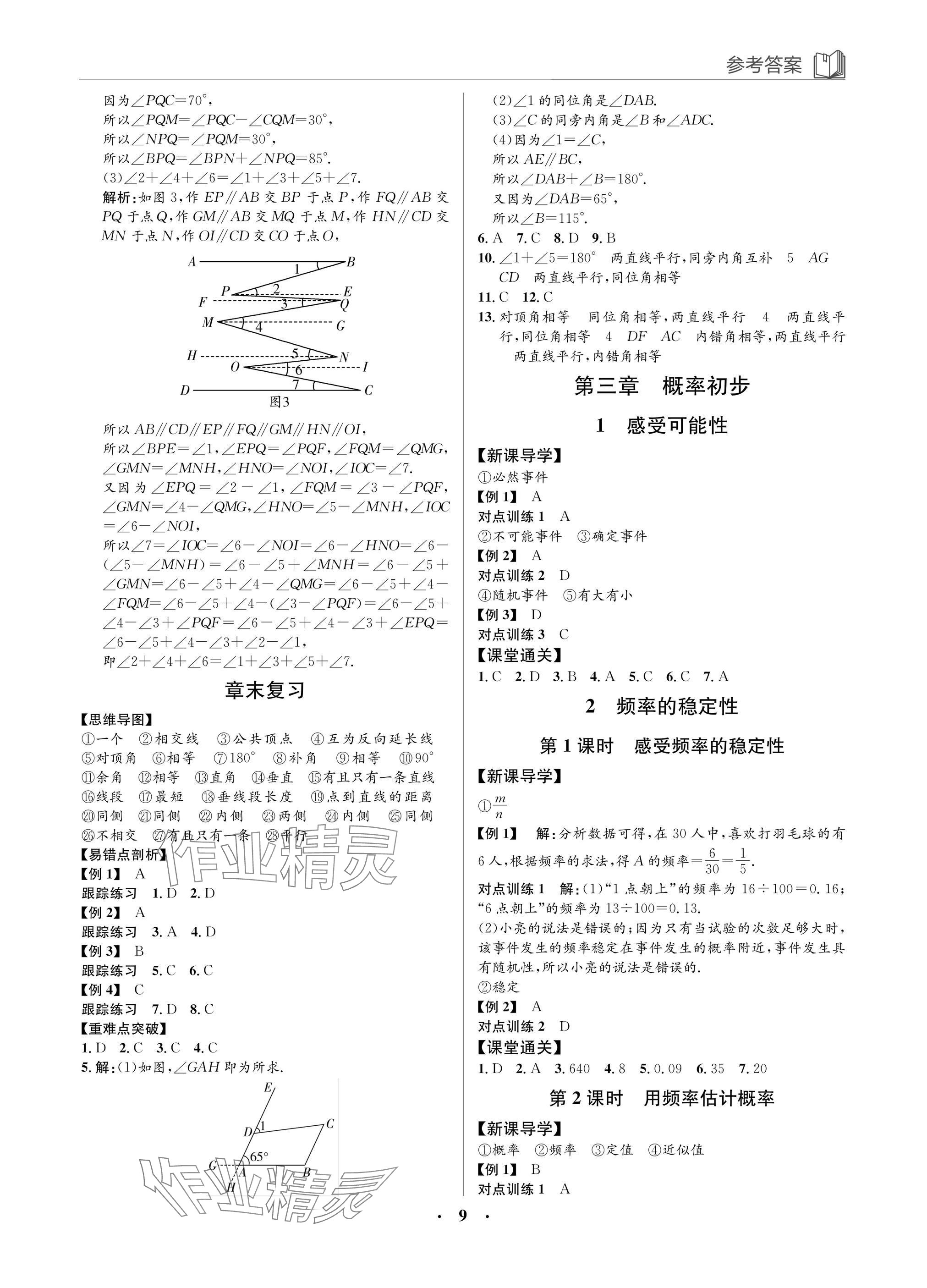 2025年廣東名師講練通七年級數學下冊北師大版深圳專版 參考答案第9頁