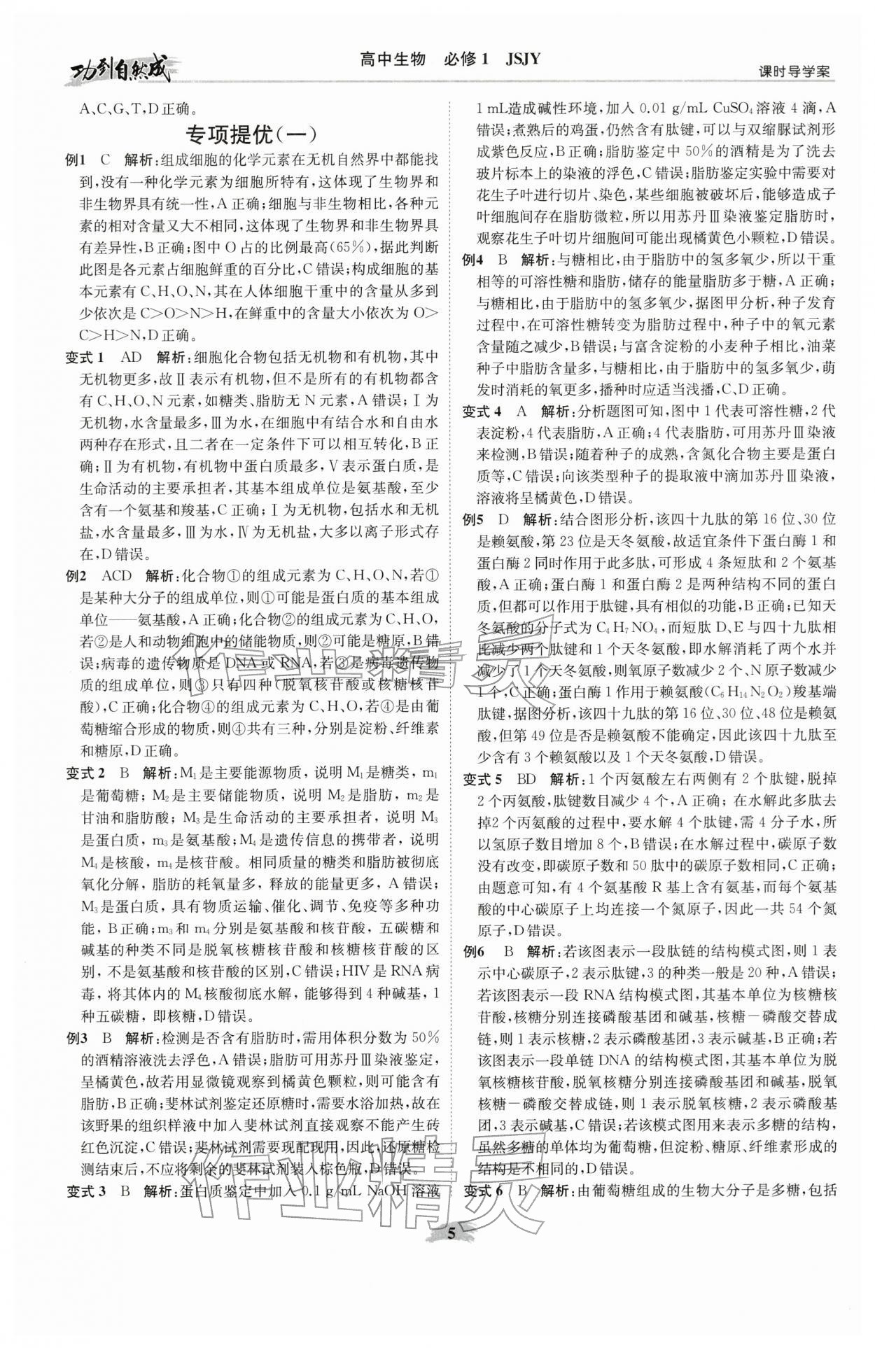 2025年功到自然成课时导学案高中生物必修1苏教版 参考答案第5页