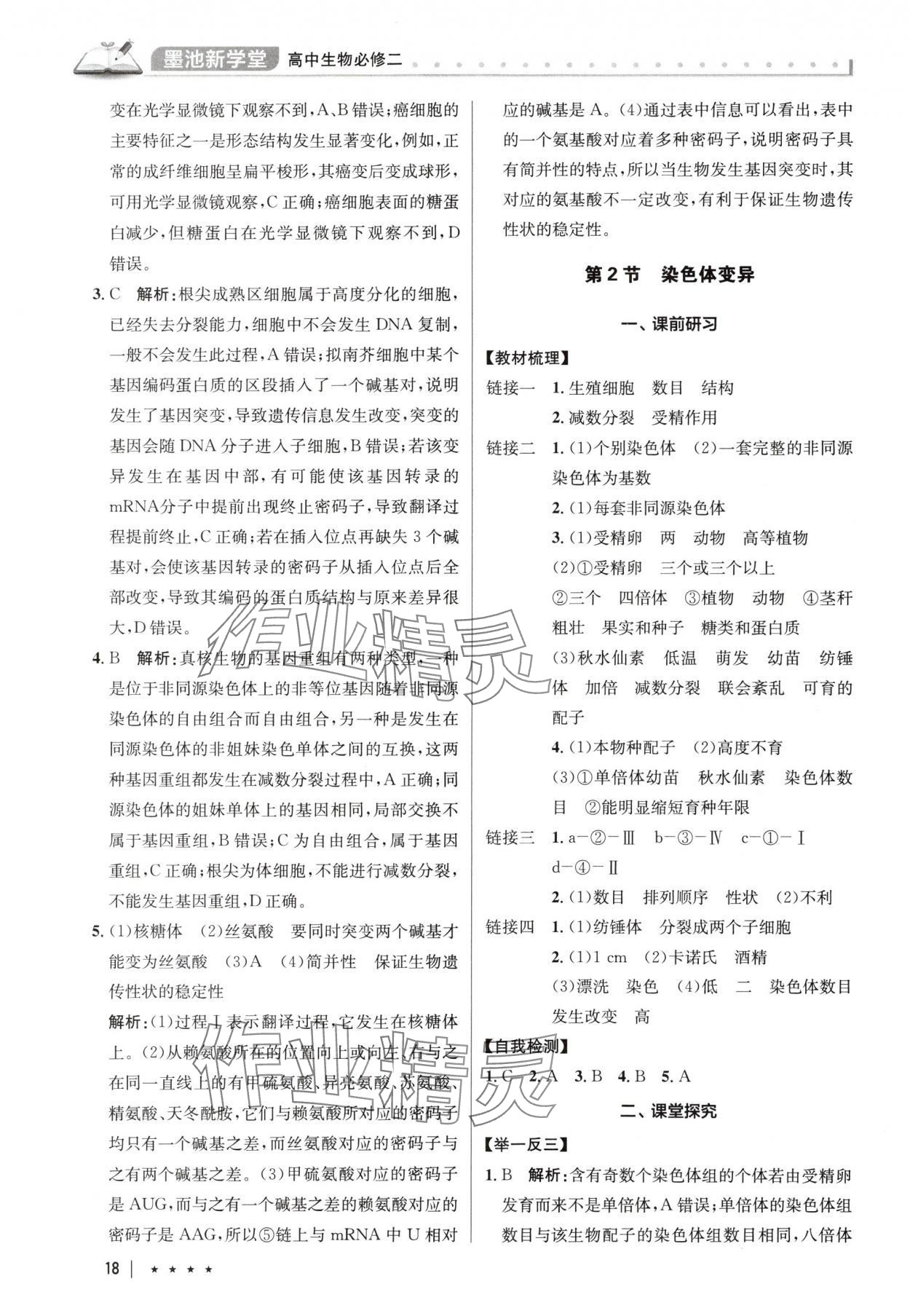 2025年墨池新學堂高中生物必修2人教版 參考答案第18頁