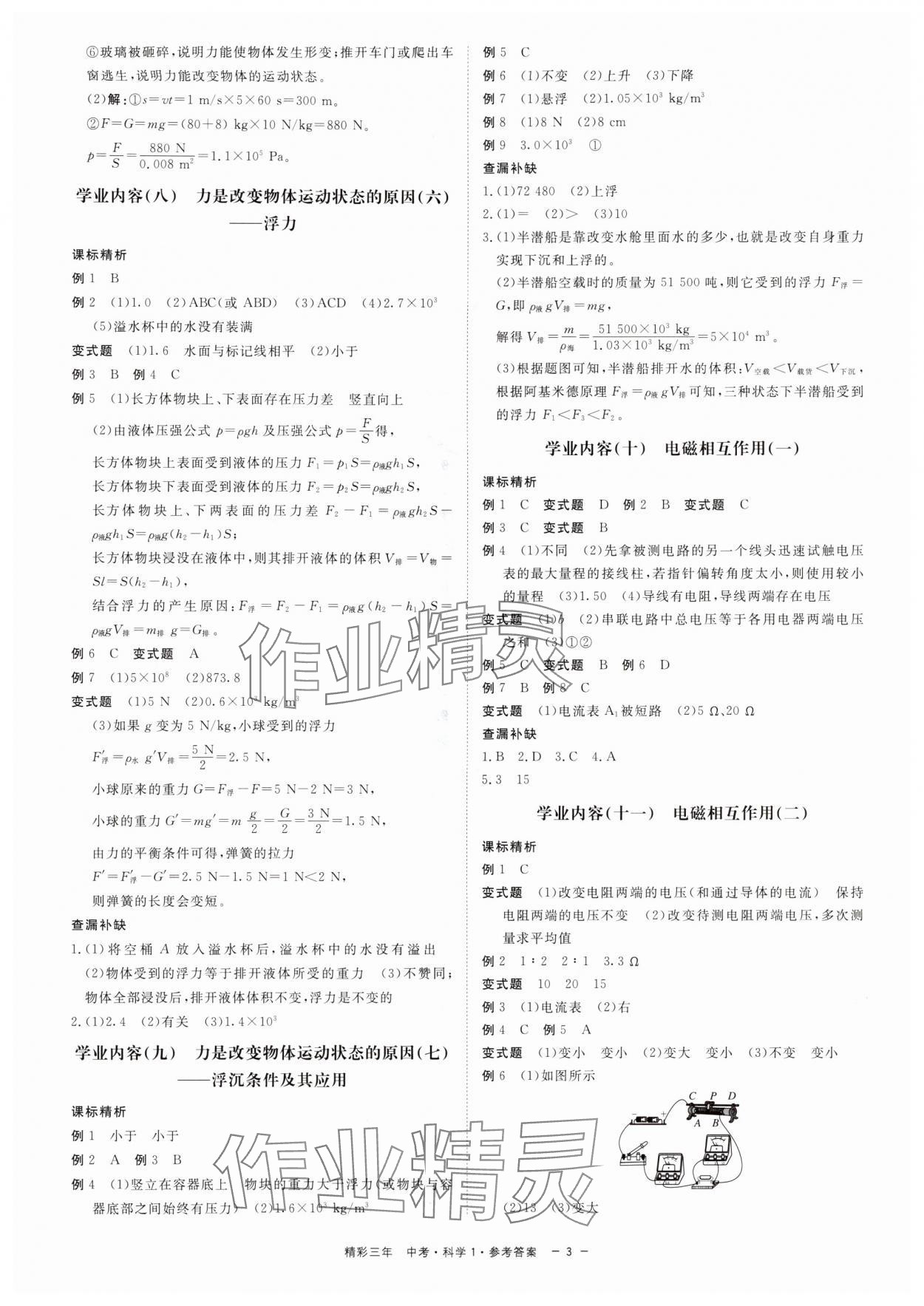 2024年精彩三年中考總復習用書科學（化學.生物）浙江專版 第3頁