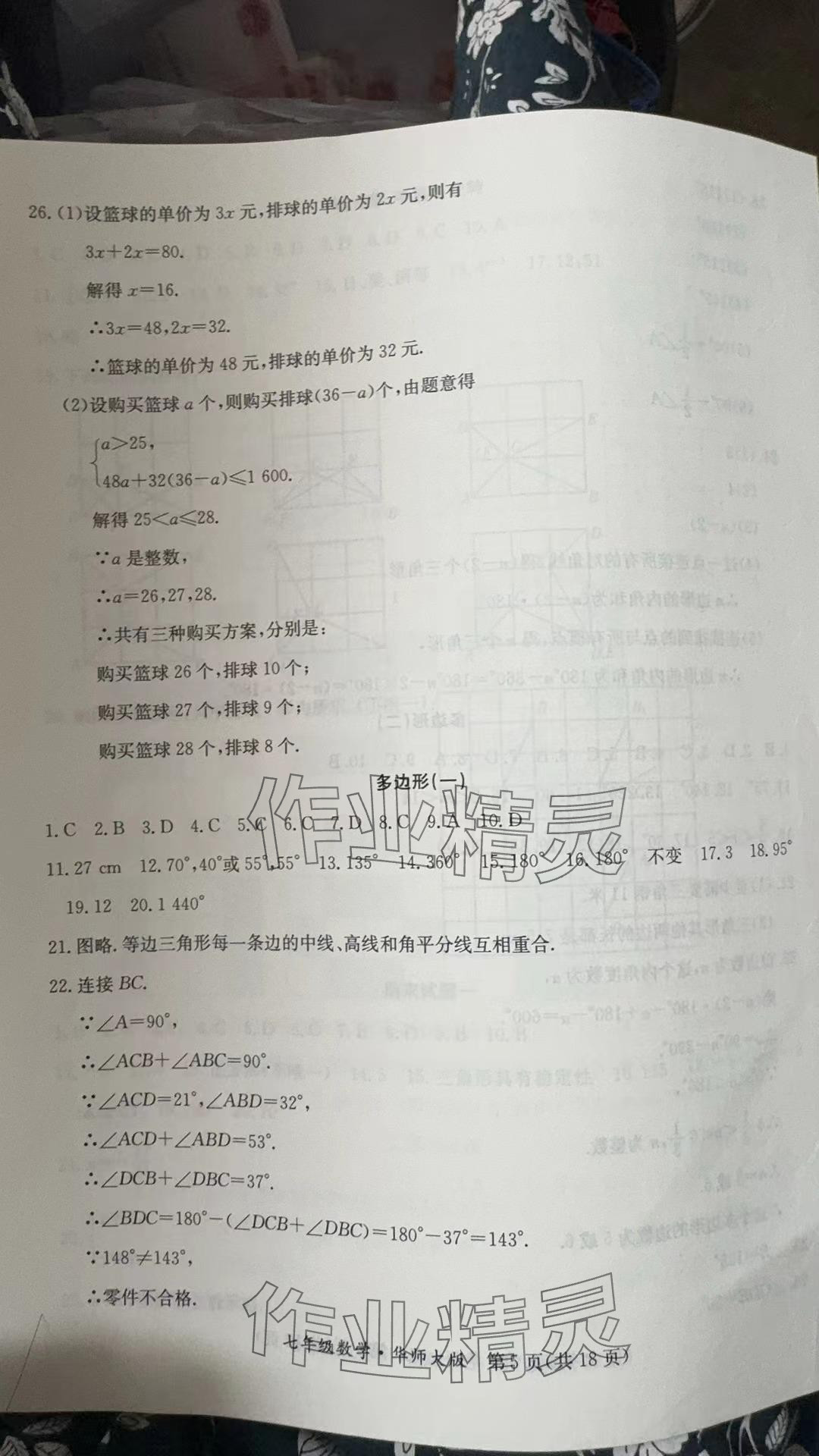 2024年暑假作业延边教育出版社七年级B版数学华师大版英语仁爱版河南专版 参考答案第5页