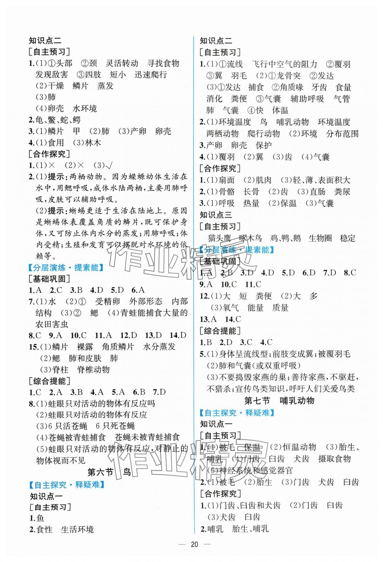 2024年同步導(dǎo)學(xué)案課時(shí)練八年級(jí)生物上冊(cè)人教版 第4頁(yè)