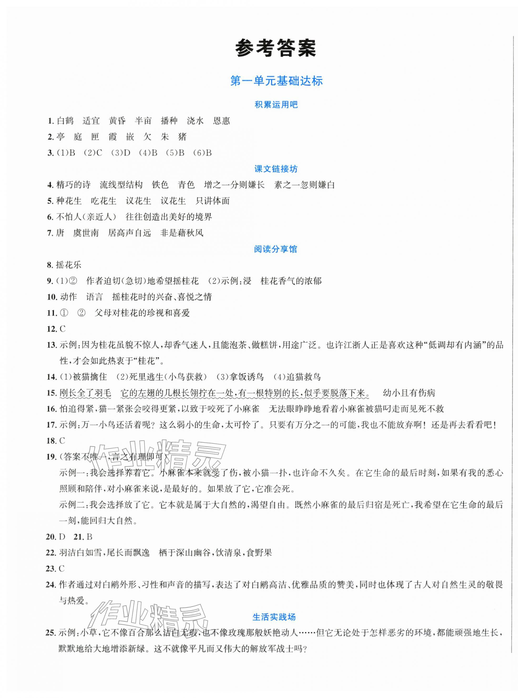 2025年浙点通提优卷五年级语文上册人教版 第1页