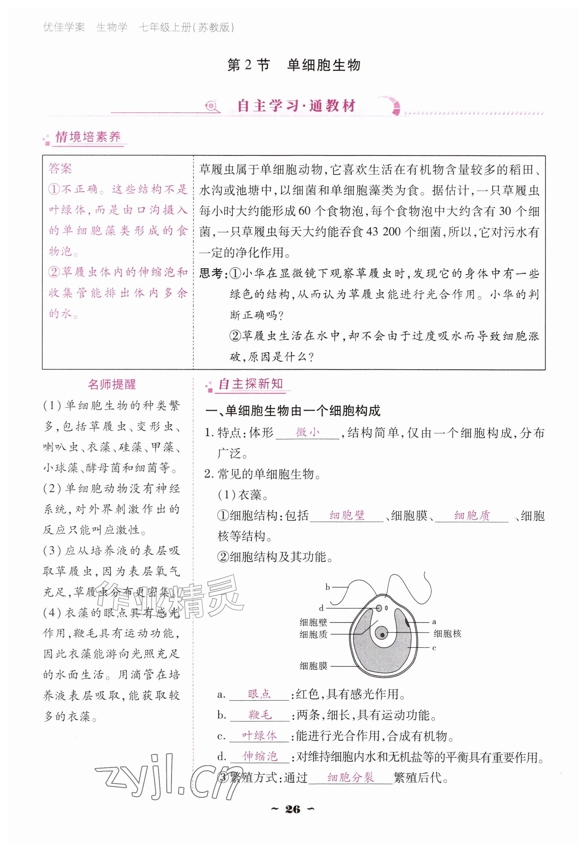 2026年云南省标准教辅优佳学案七年级历史上册人教版&nbsp;参考答案第26页