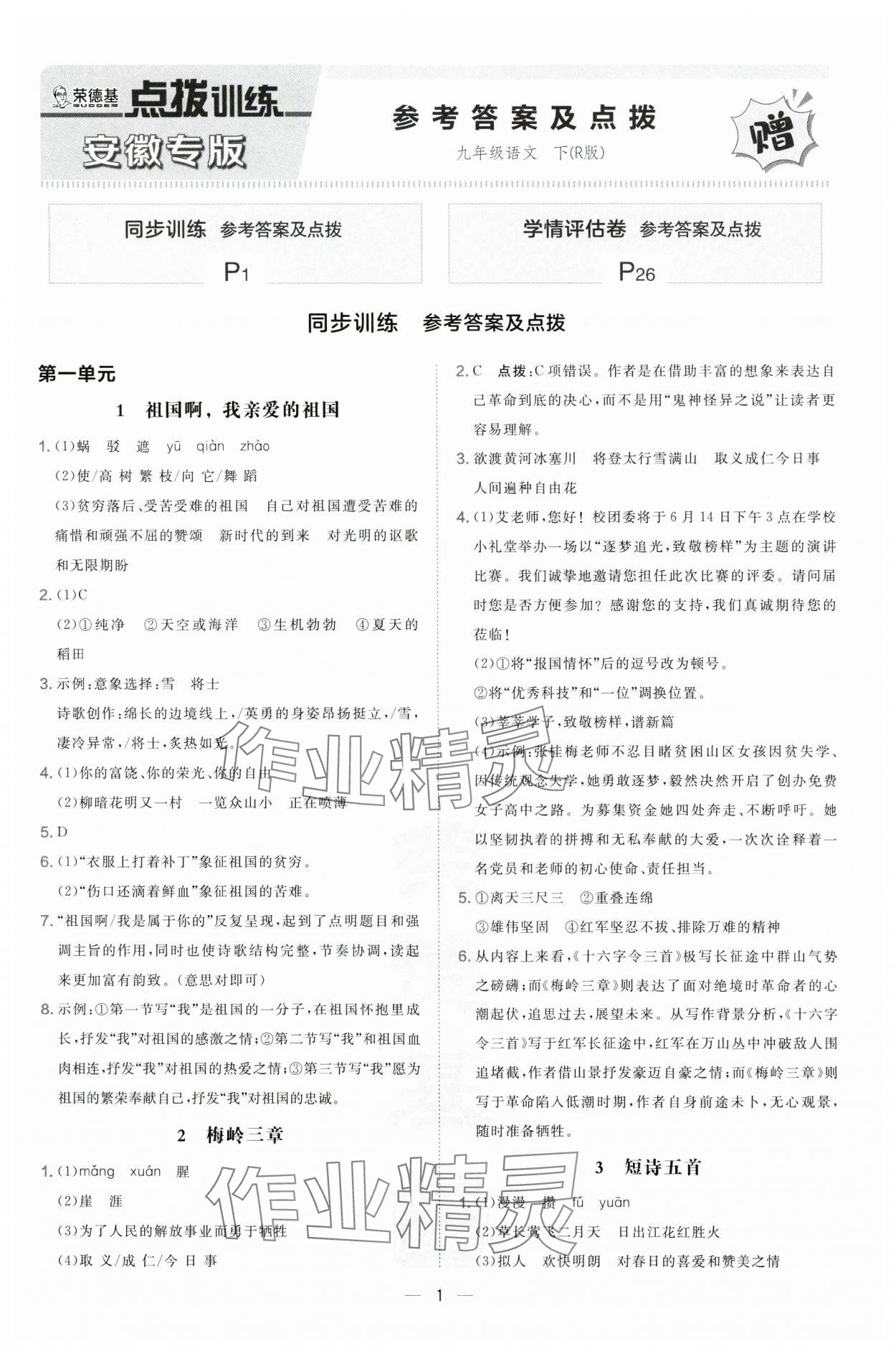 2025年點撥訓練九年級語文下冊人教版安徽專版 第1頁