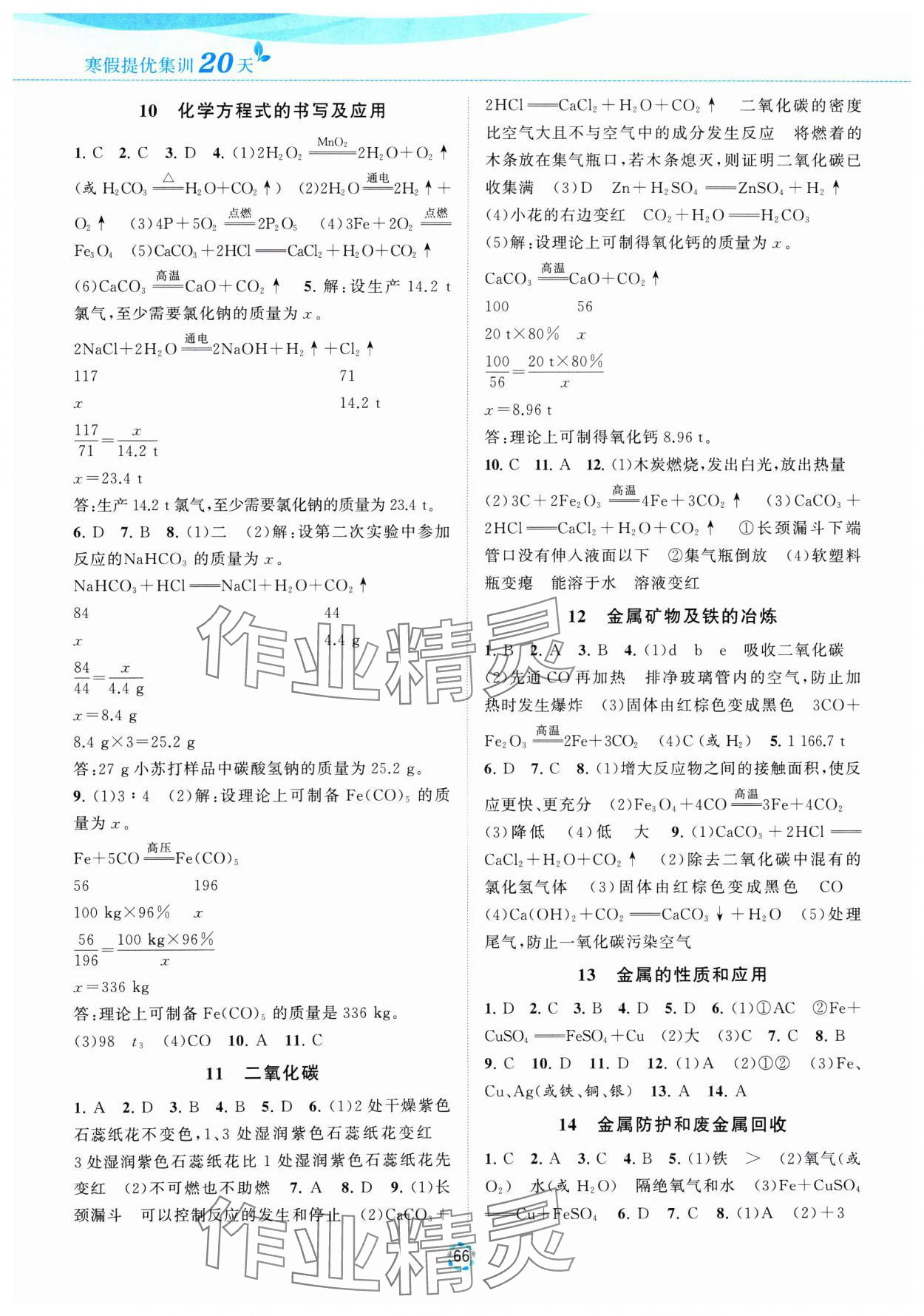 2025年寒假提优集训20天九年级化学沪教版 第2页
