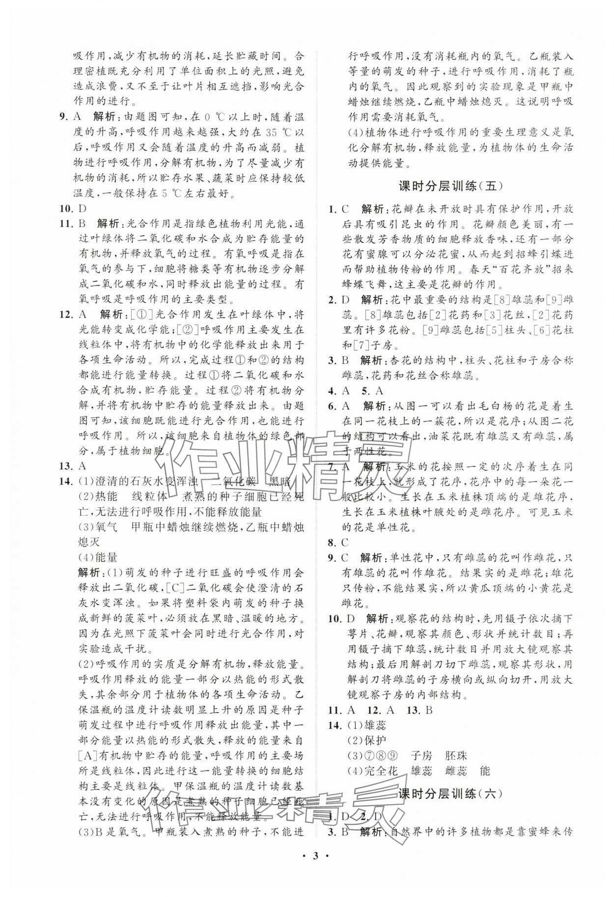 2025年同步練習冊分層卷七年級生物下冊濟南版 參考答案第3頁