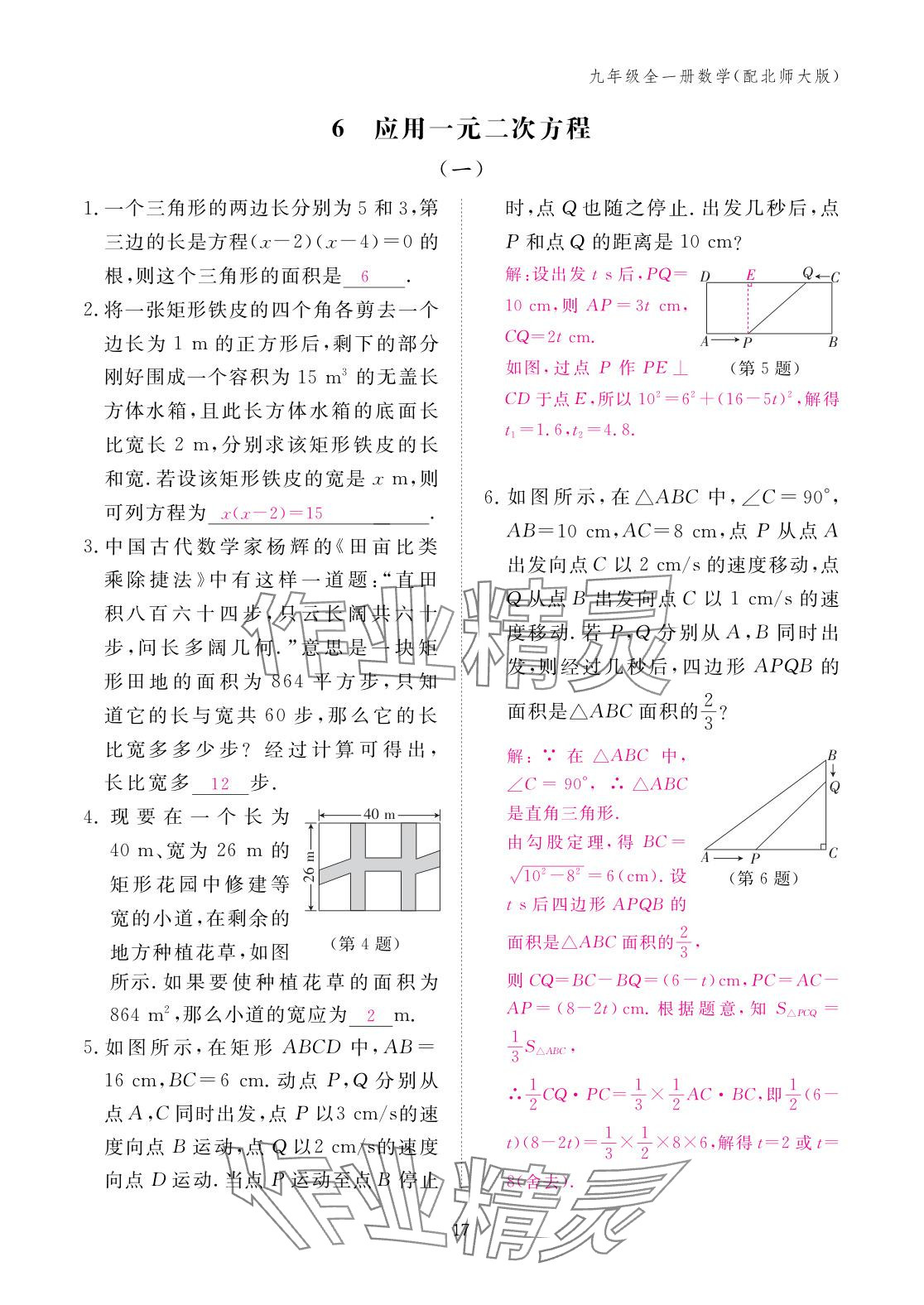 2025年作业本江西教育出版社九年级数学全一册北师大版 参考答案第17页