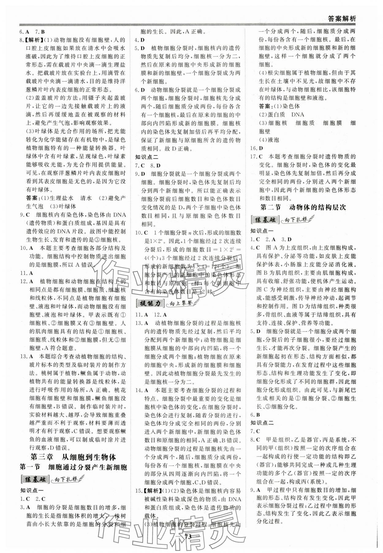 2025年世紀(jì)金榜百練百勝七年級生物上冊人教版 參考答案第4頁