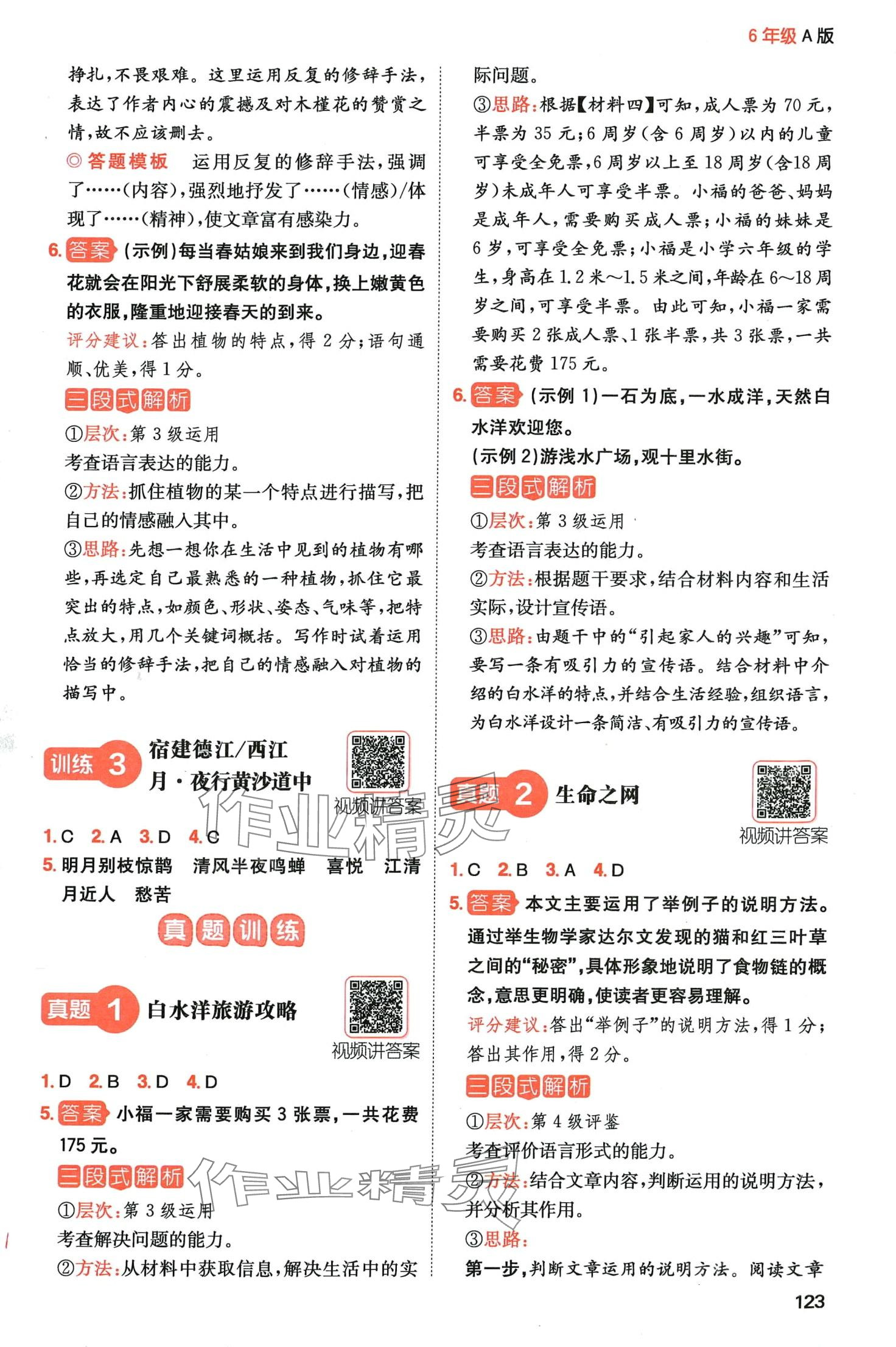 2024年一本阅读能力训练100分六年级语文人教版A福建专版 参考答案第2页