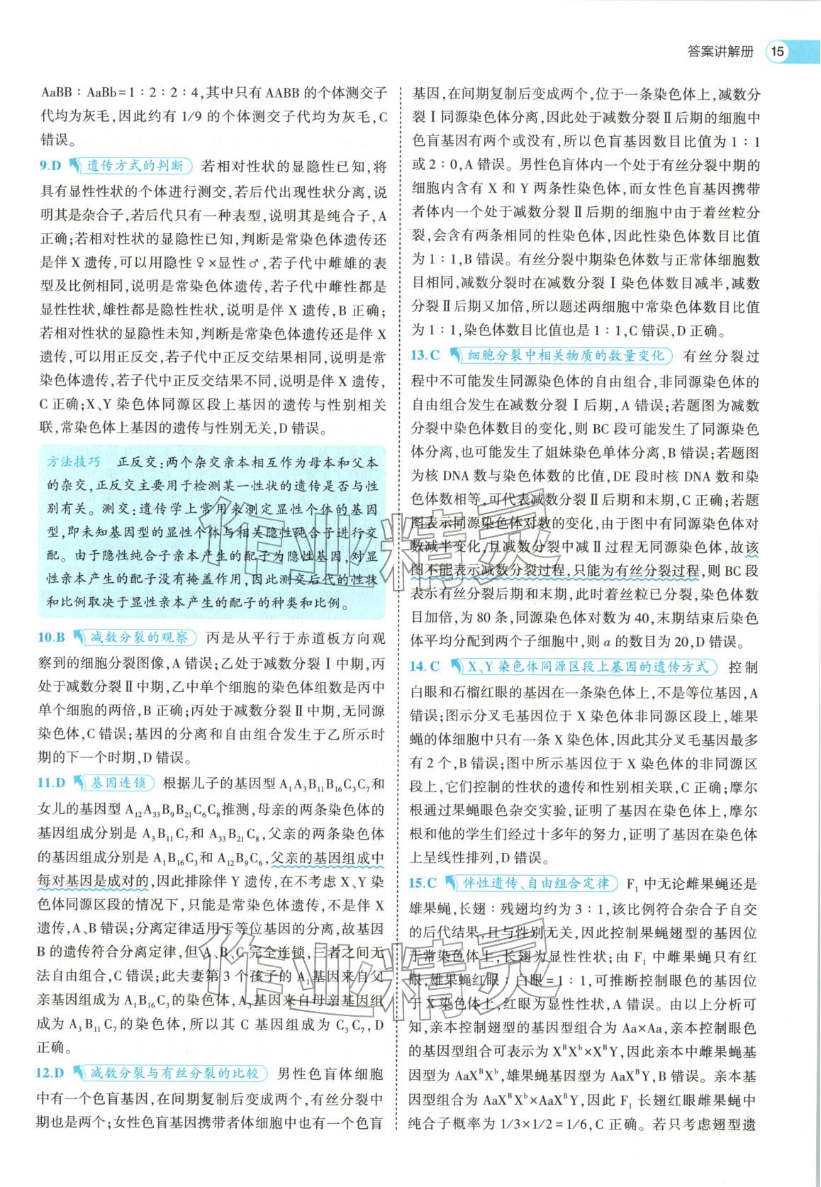 2026年53高中全优卷高中生物必修第二册人教版&nbsp;第15页