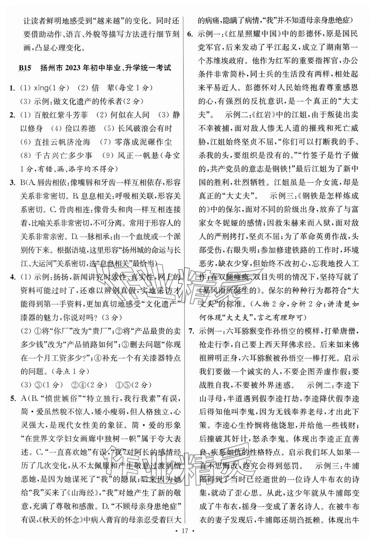 2024年江蘇中考模擬試卷匯編優(yōu)化38套語(yǔ)文提優(yōu)版 參考答案第17頁(yè)