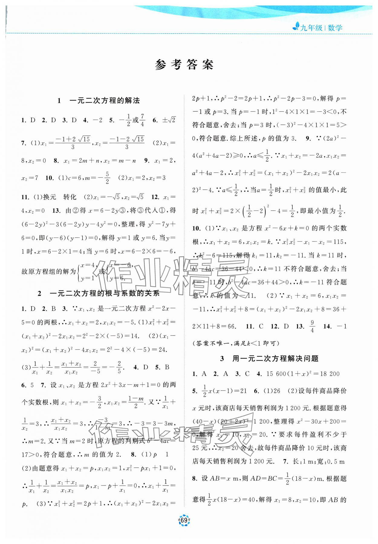 2025年寒假提優(yōu)集訓(xùn)20天九年級(jí)數(shù)學(xué)蘇科版 第1頁(yè)