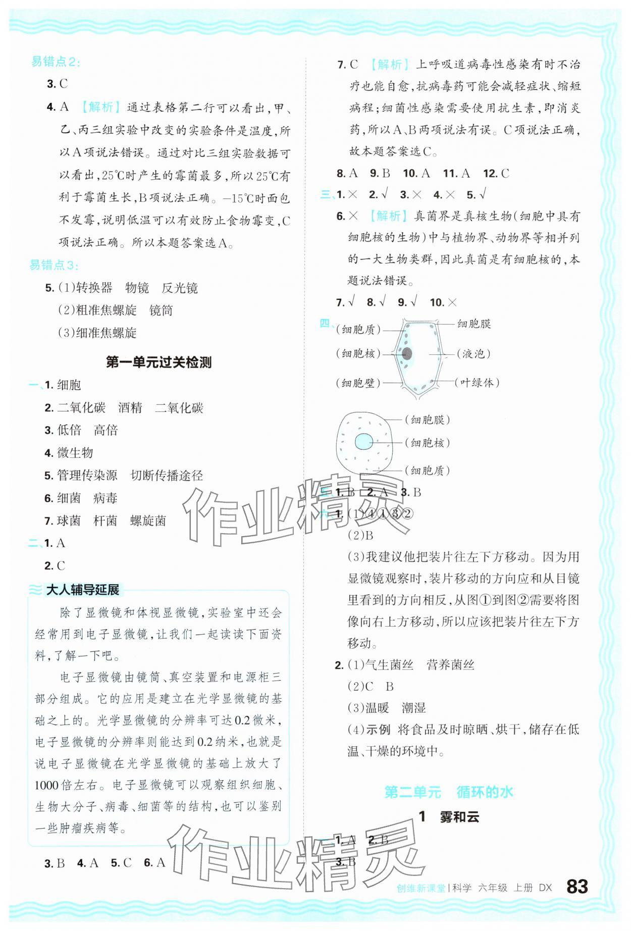 2024年創(chuàng)維新課堂六年級科學(xué)上冊大象版 參考答案第3頁