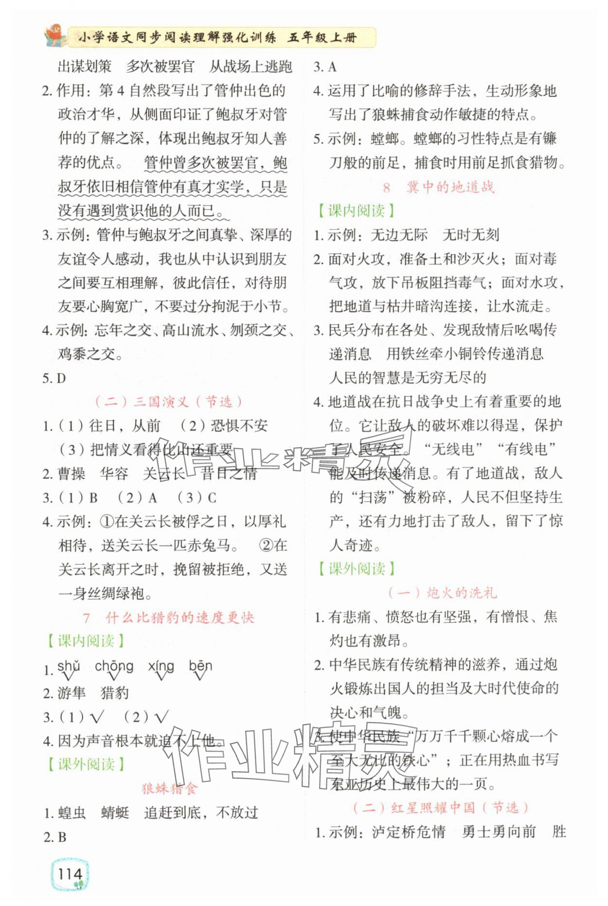 2025年小学语文同步阅读理解强化训练五年级语文上册人教版 第4页