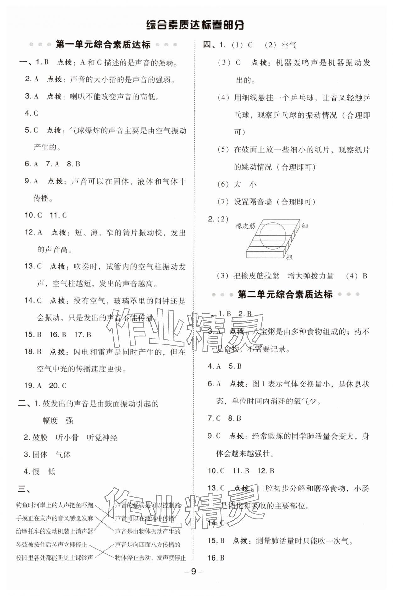 2024年綜合應(yīng)用創(chuàng)新題典中點四年級科學(xué)上冊教科版 參考答案第9頁