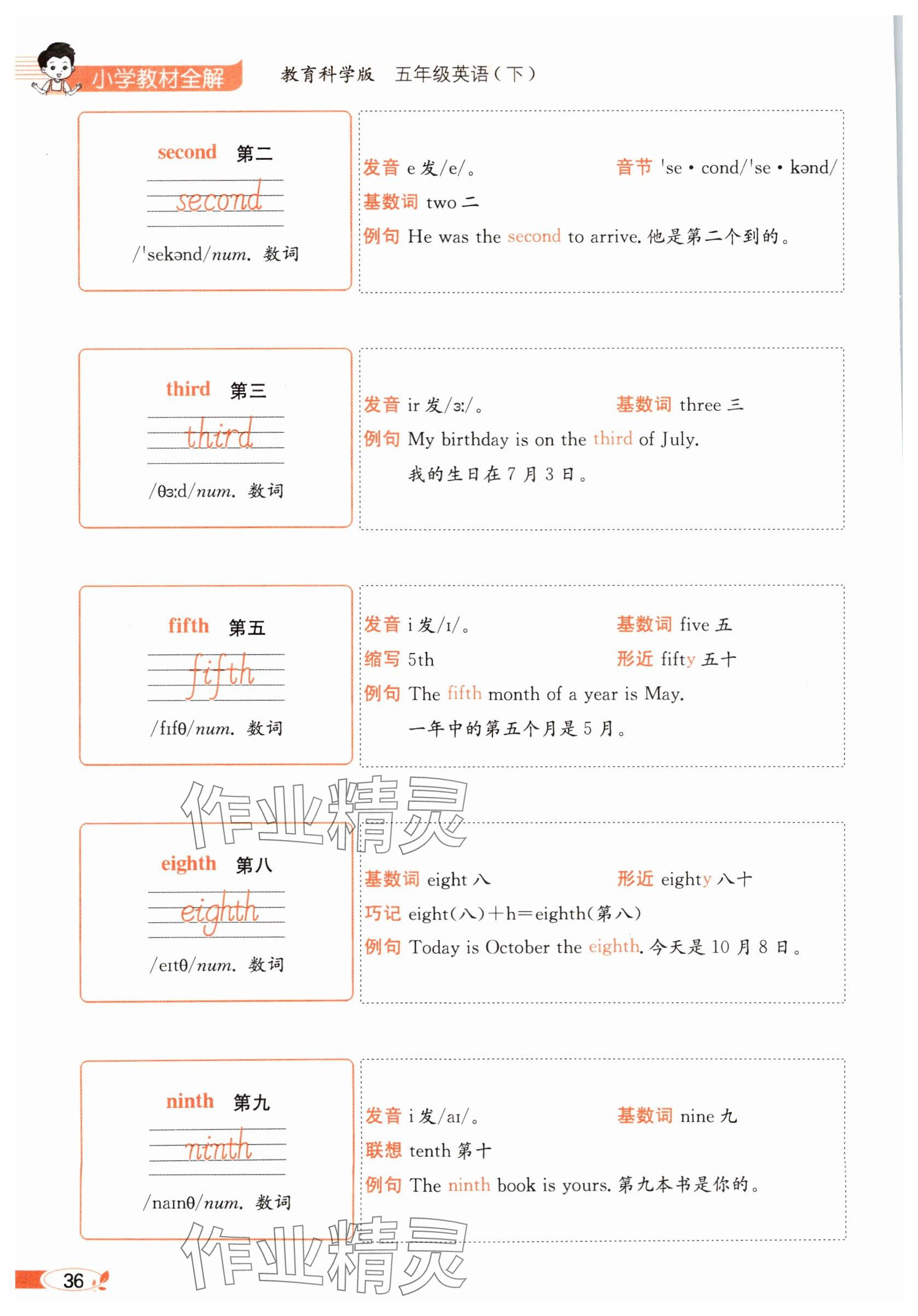 2025年教材課本五年級(jí)英語(yǔ)下冊(cè)教科版 參考答案第36頁(yè)