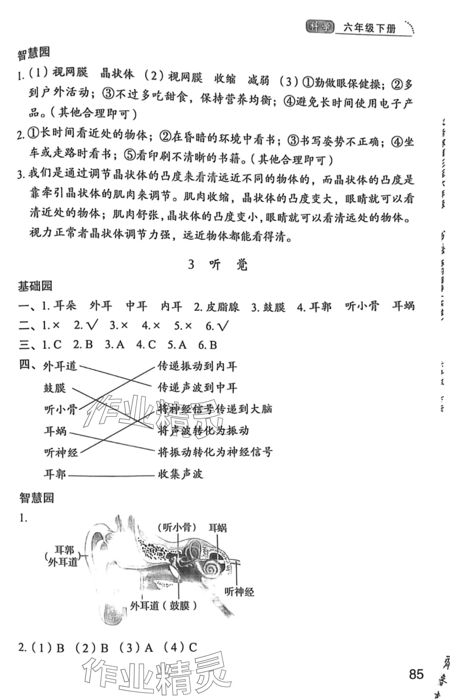 2024年三维智慧学习六年级科学下册青岛版 第2页