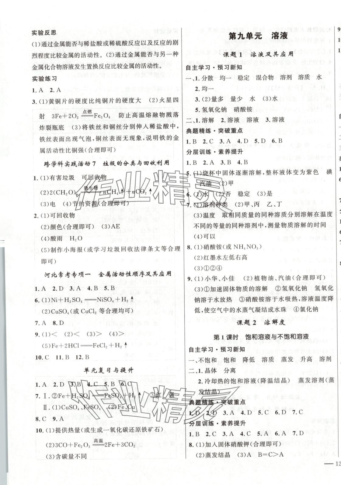 2025年夺冠百分百新导学课时练九年级化学下册人教版 参考答案第3页