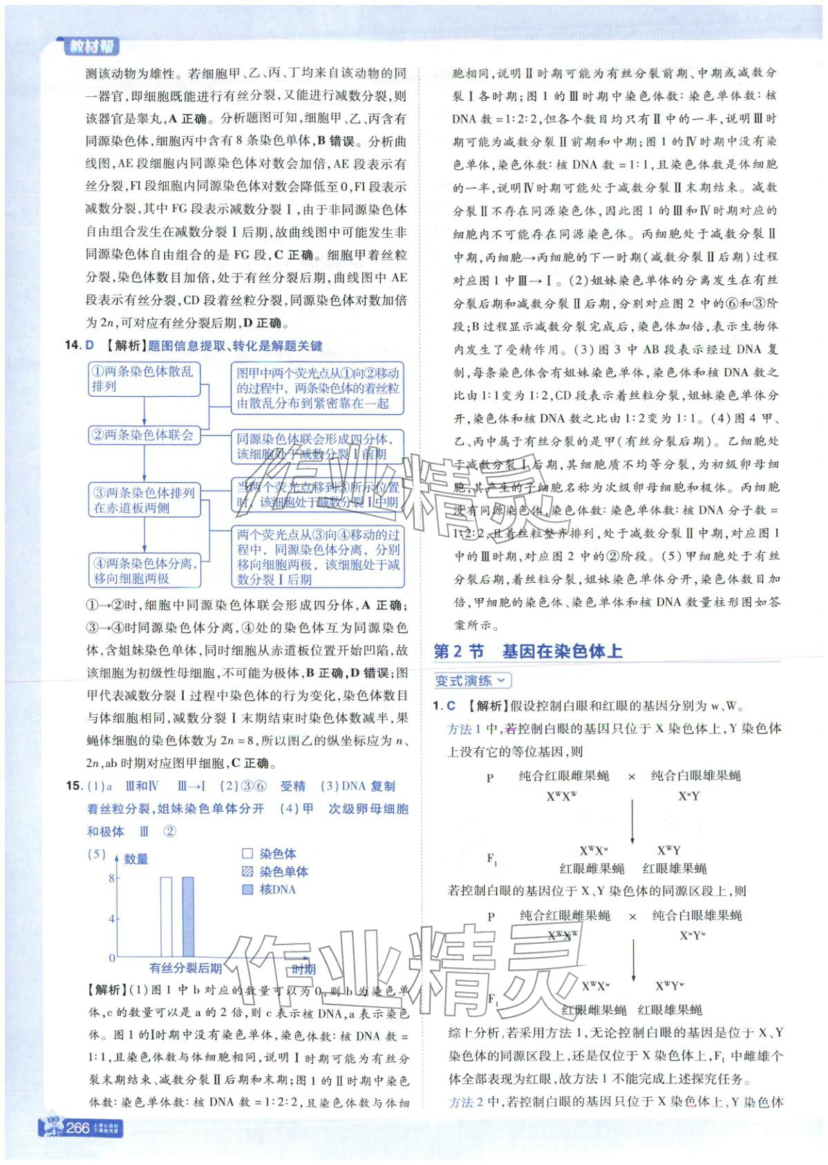 2025年教材幫高中生物必修第二冊人教版 第14頁