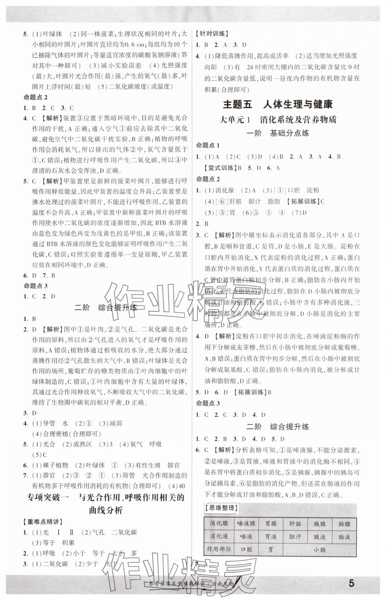 2025年一战成名考前新方案生物云南中考 参考答案第4页