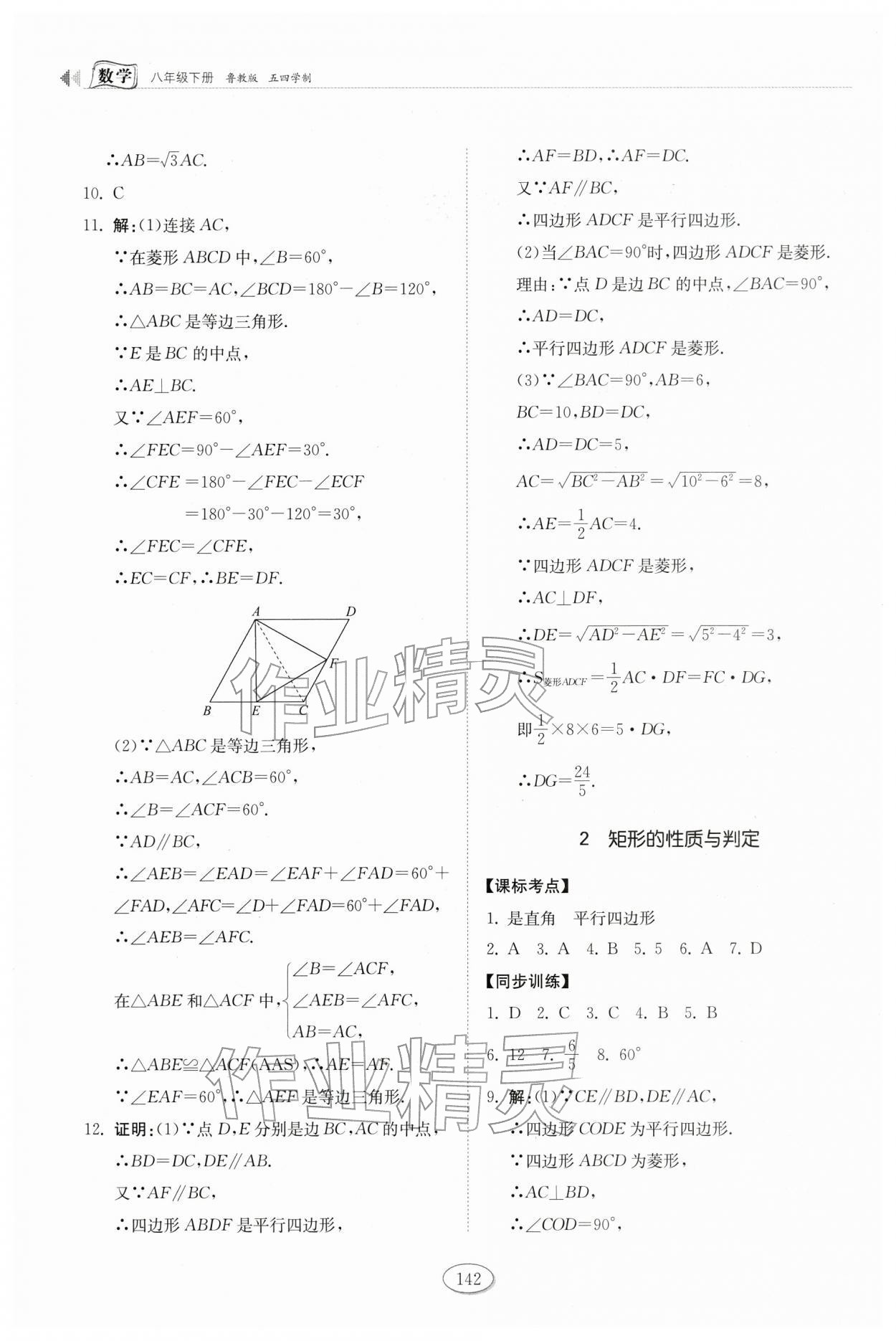 2026年同步练习册山东科学技术出版社八年级数学下册鲁教版54制&nbsp;第2页