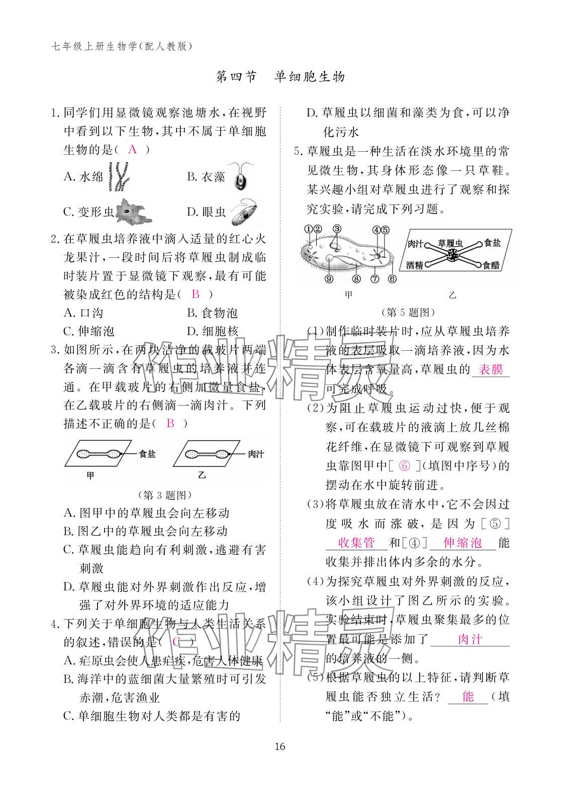 2025年作业本江西教育出版社七年级生物上册人教版 参考答案第16页