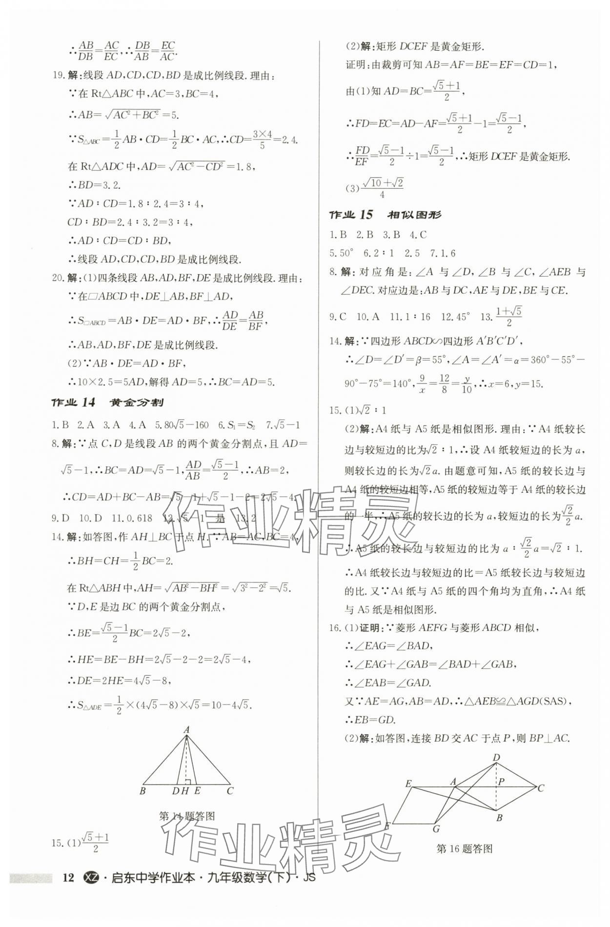 2024年啟東中學(xué)作業(yè)本九年級數(shù)學(xué)下冊蘇科版徐州專版 第12頁