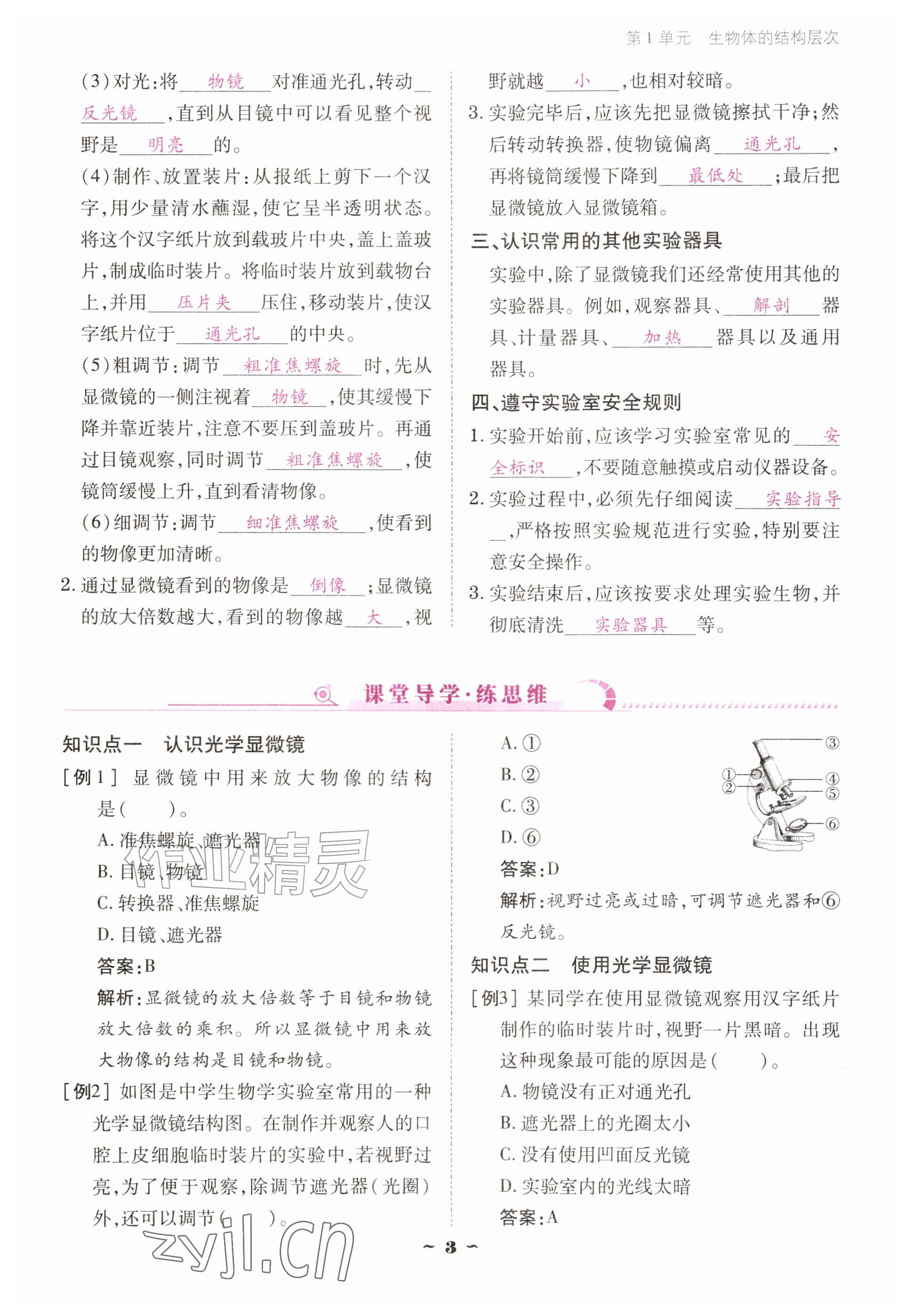 2026年云南省标准教辅优佳学案七年级历史上册人教版&nbsp;参考答案第3页