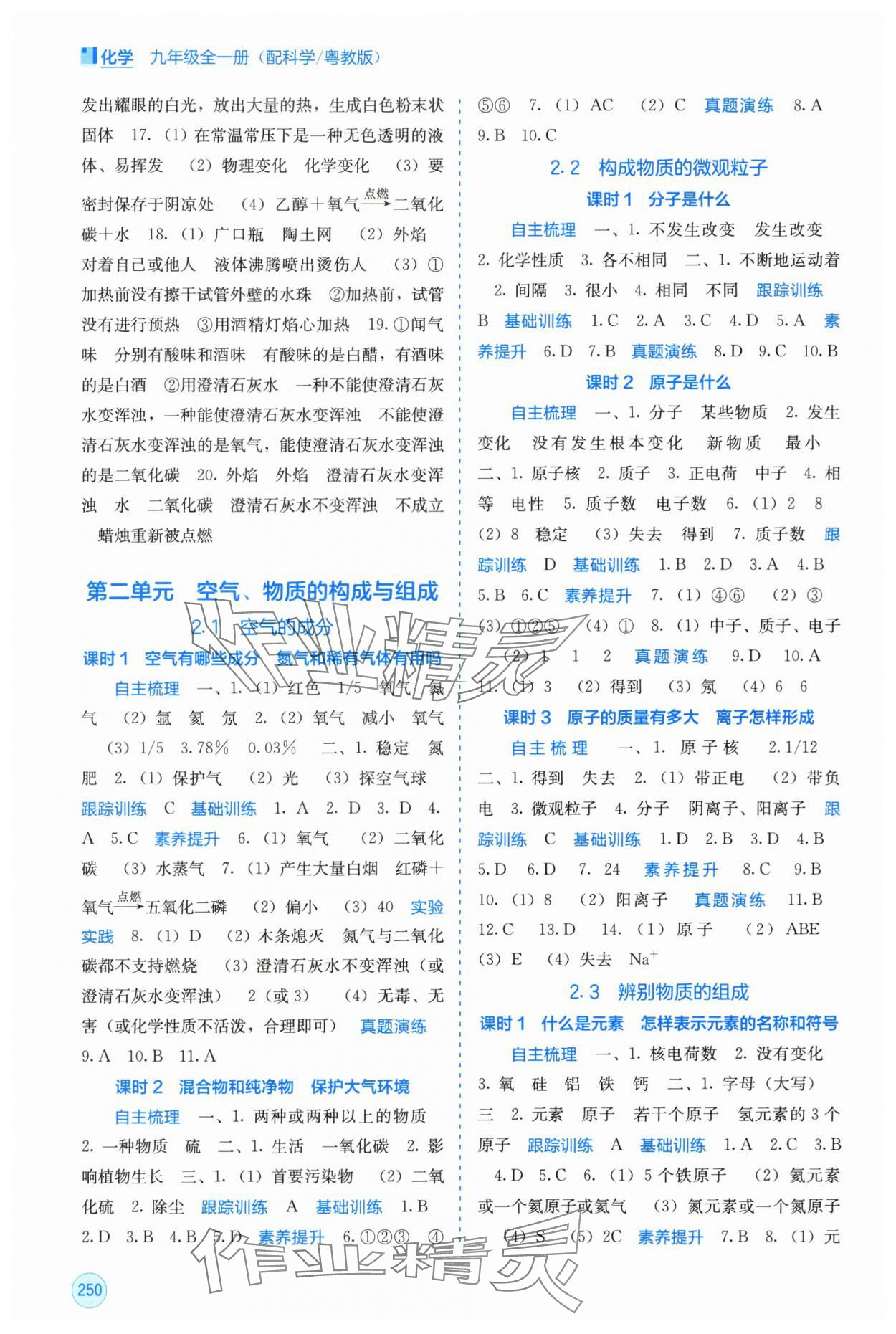 2025年自主学习能力测评九年级化学全一册科粤版 第2页
