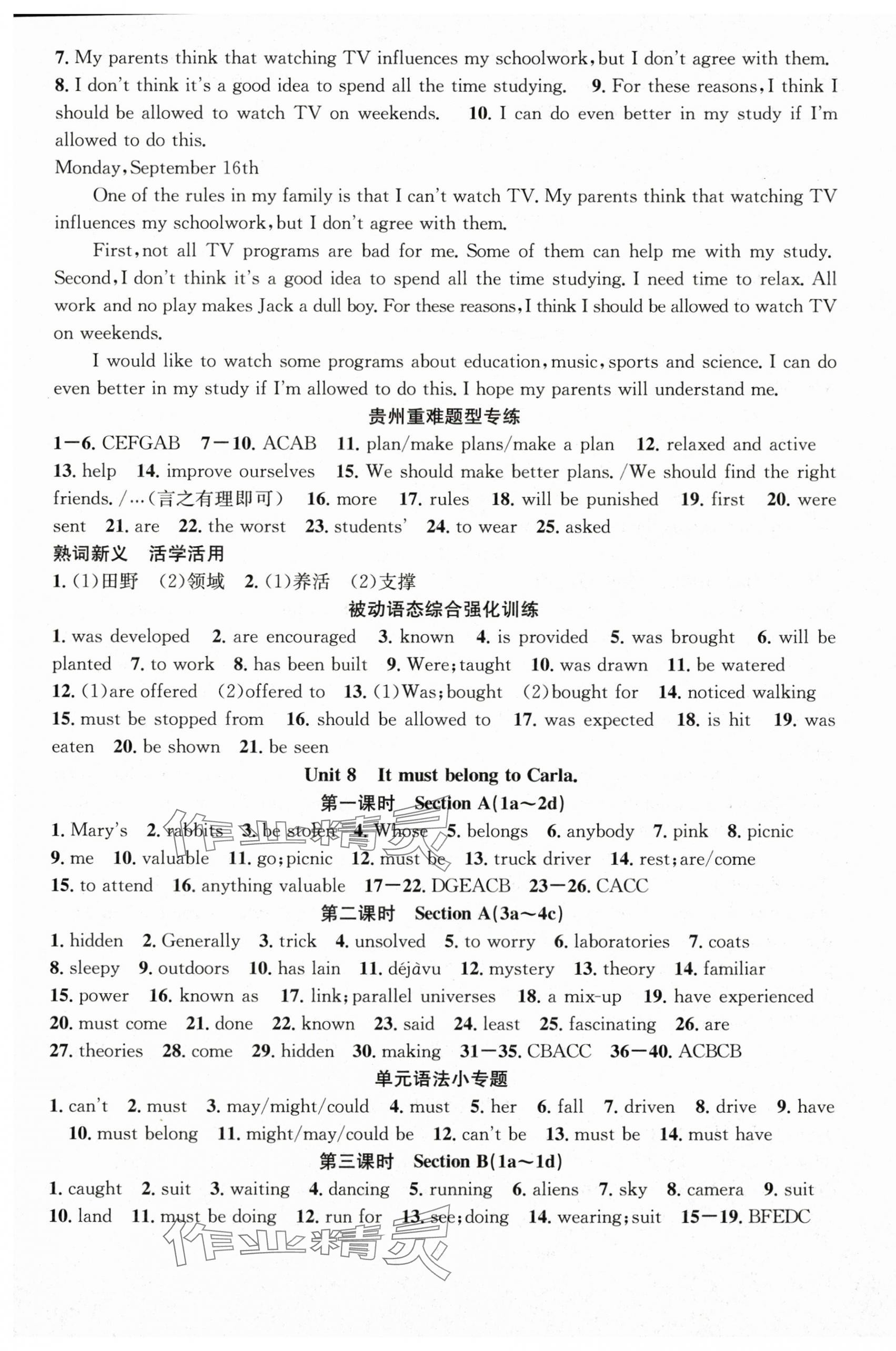 2025年名师学案九年级英语全一册人教版贵州专版 第9页