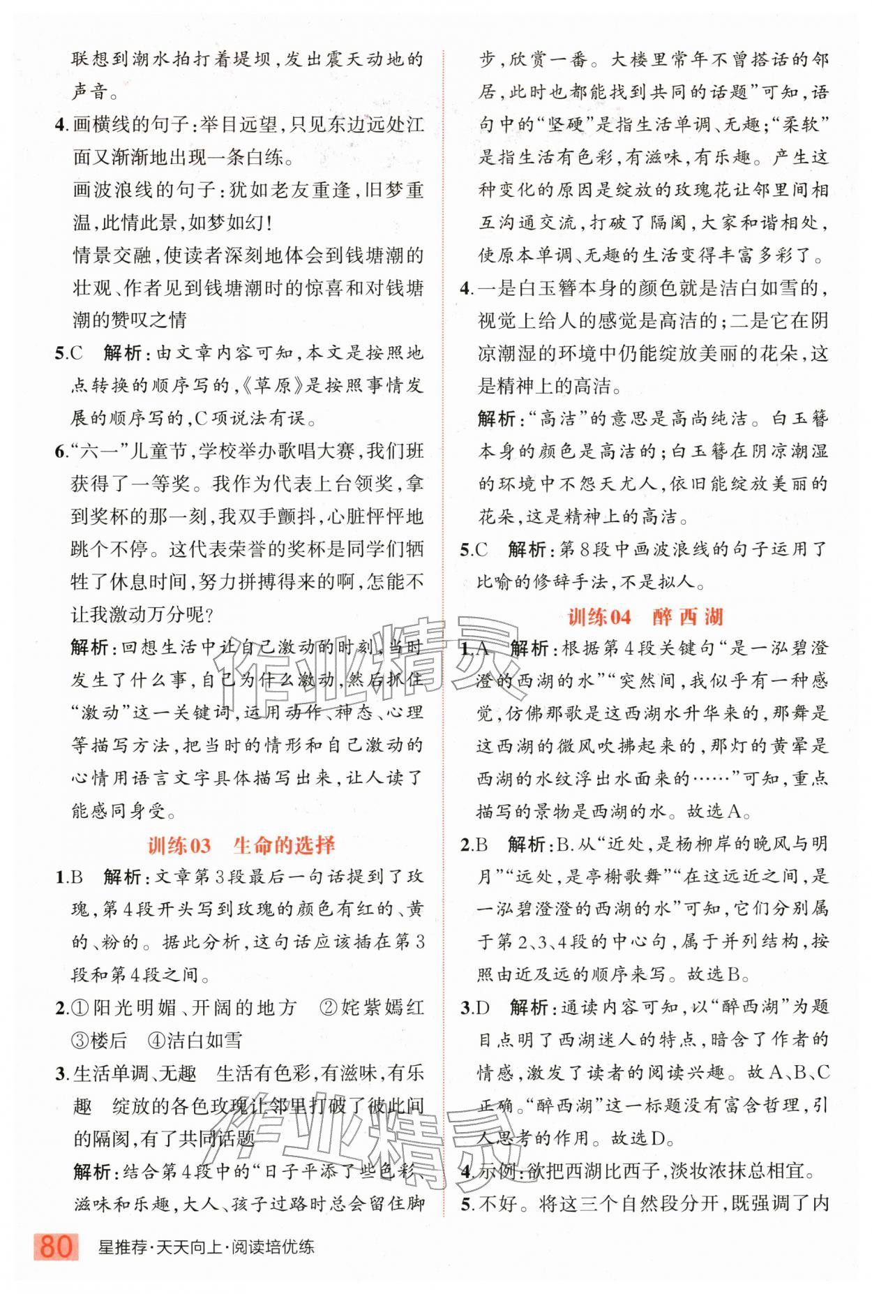 2025年天天向上阅读培优练六年级语文上册人教版 第2页