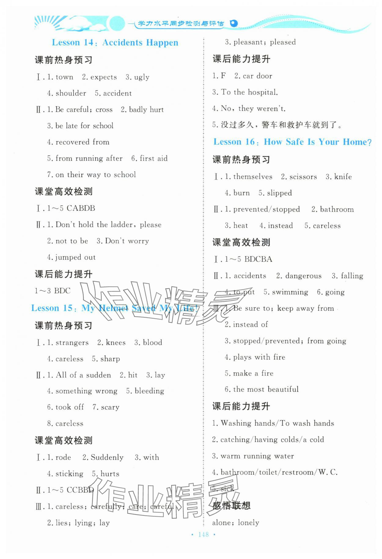 2023年學(xué)力水平同步檢測(cè)與評(píng)估九年級(jí)英語全一冊(cè)冀教版 第6頁