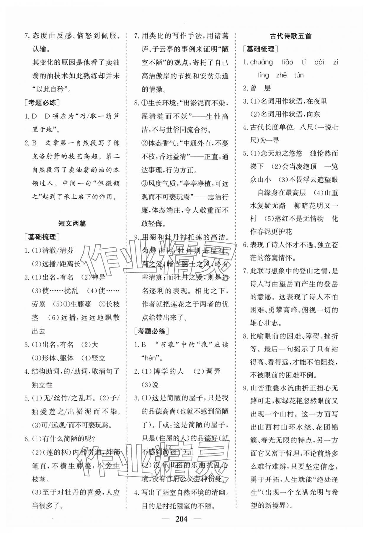 2024年點金考案語文 第6頁
