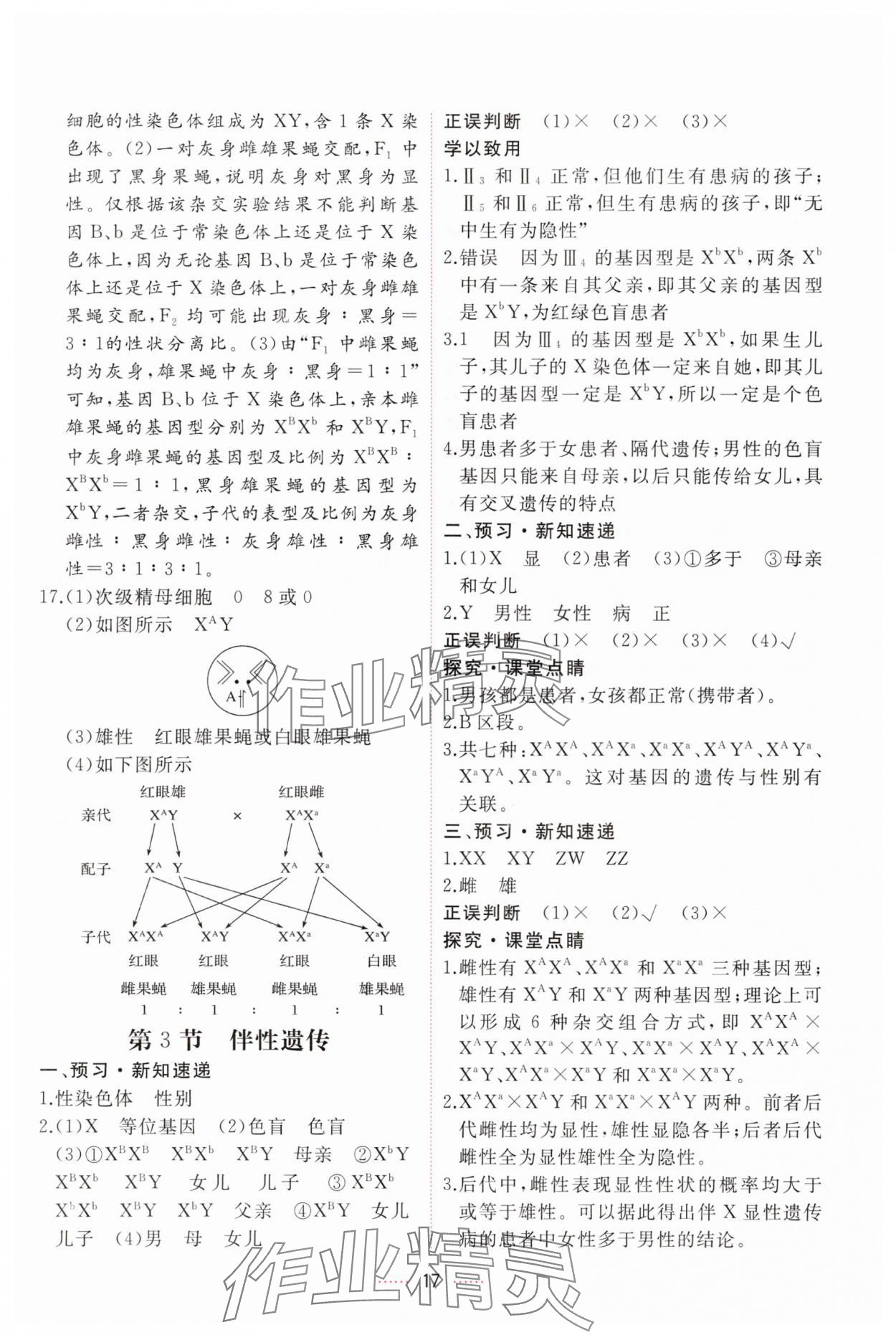 2025年三維隨堂精練高中生物必修2人教版 第17頁
