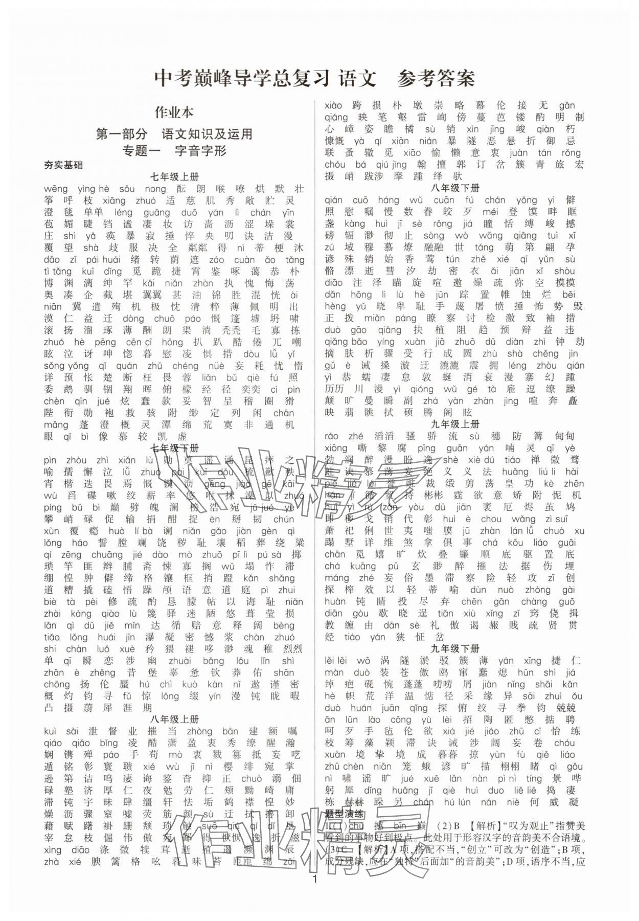 2025年巔峰導學總復習語文重慶專版 參考答案第1頁