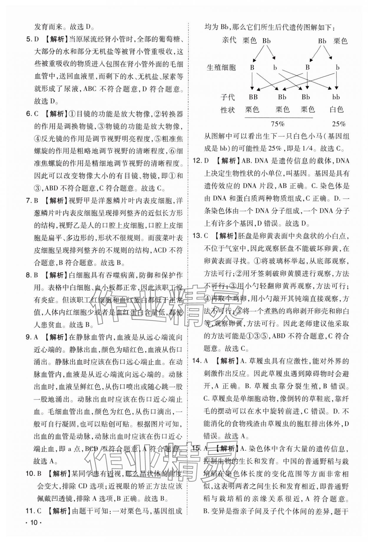 2024年開路先鋒試題精選生物山西專版 第10頁