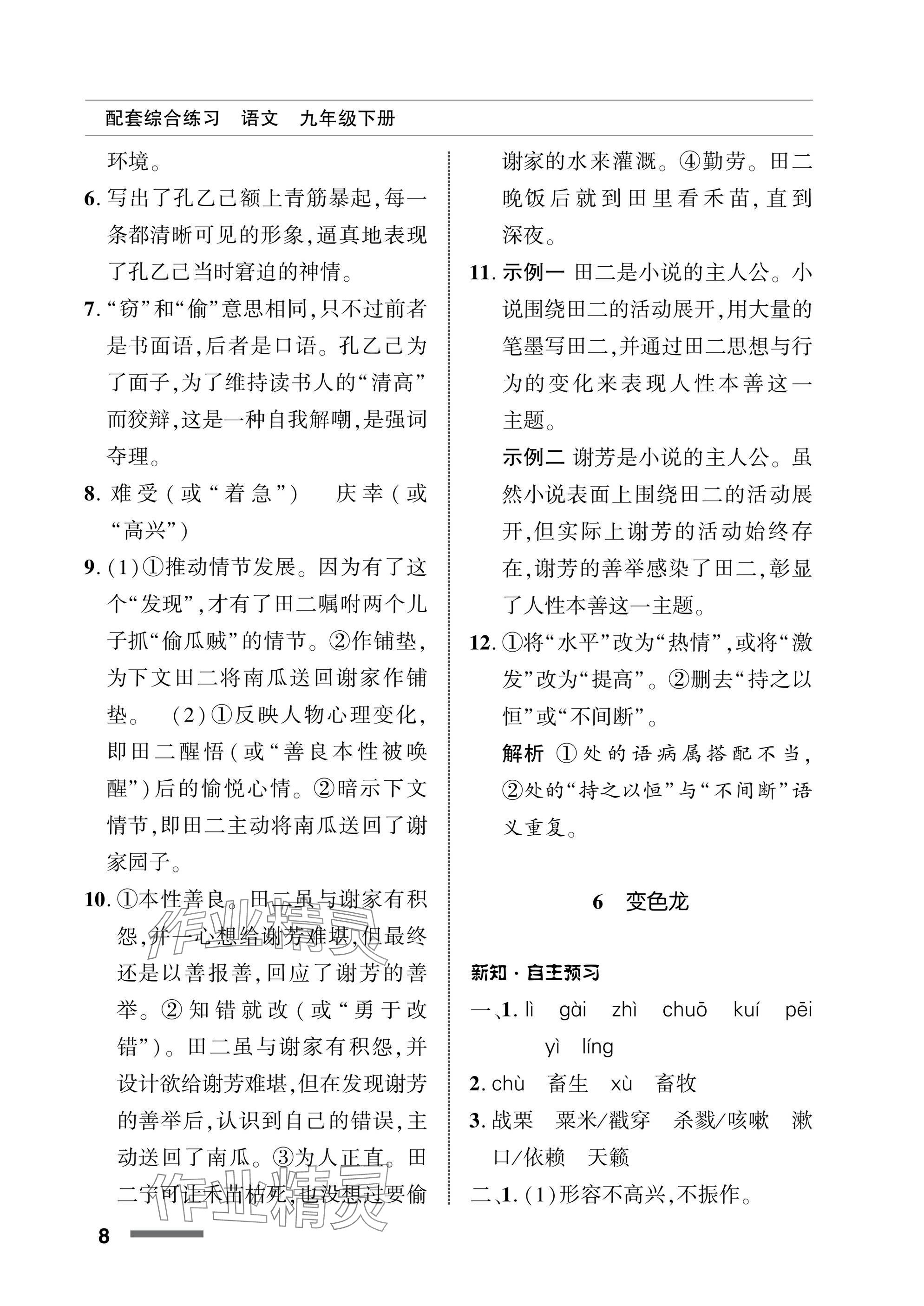 2025年配套綜合練習(xí)甘肅九年級(jí)語文下冊(cè)人教版 參考答案第8頁(yè)
