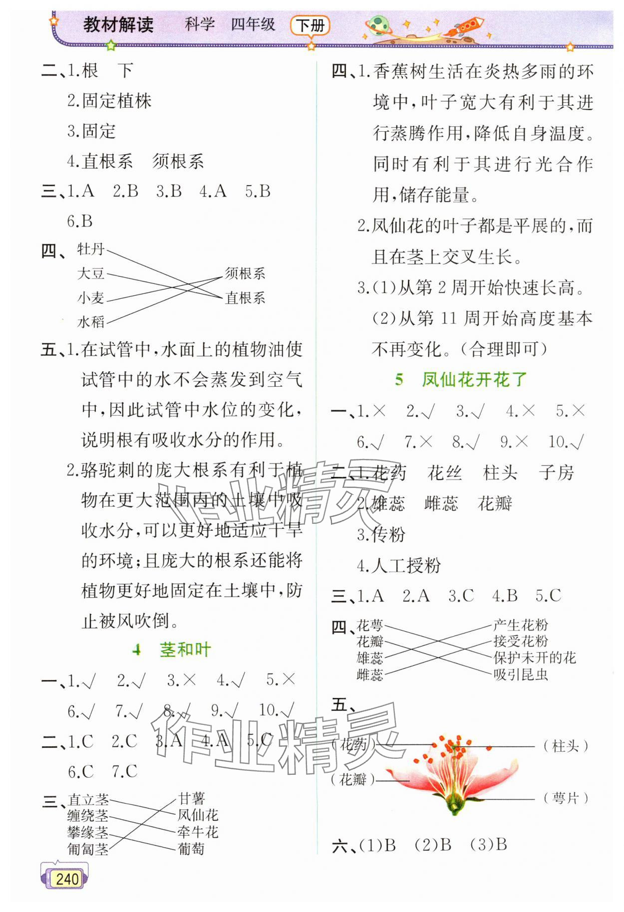 2025年教材解读四年级科学下册教科版 第2页