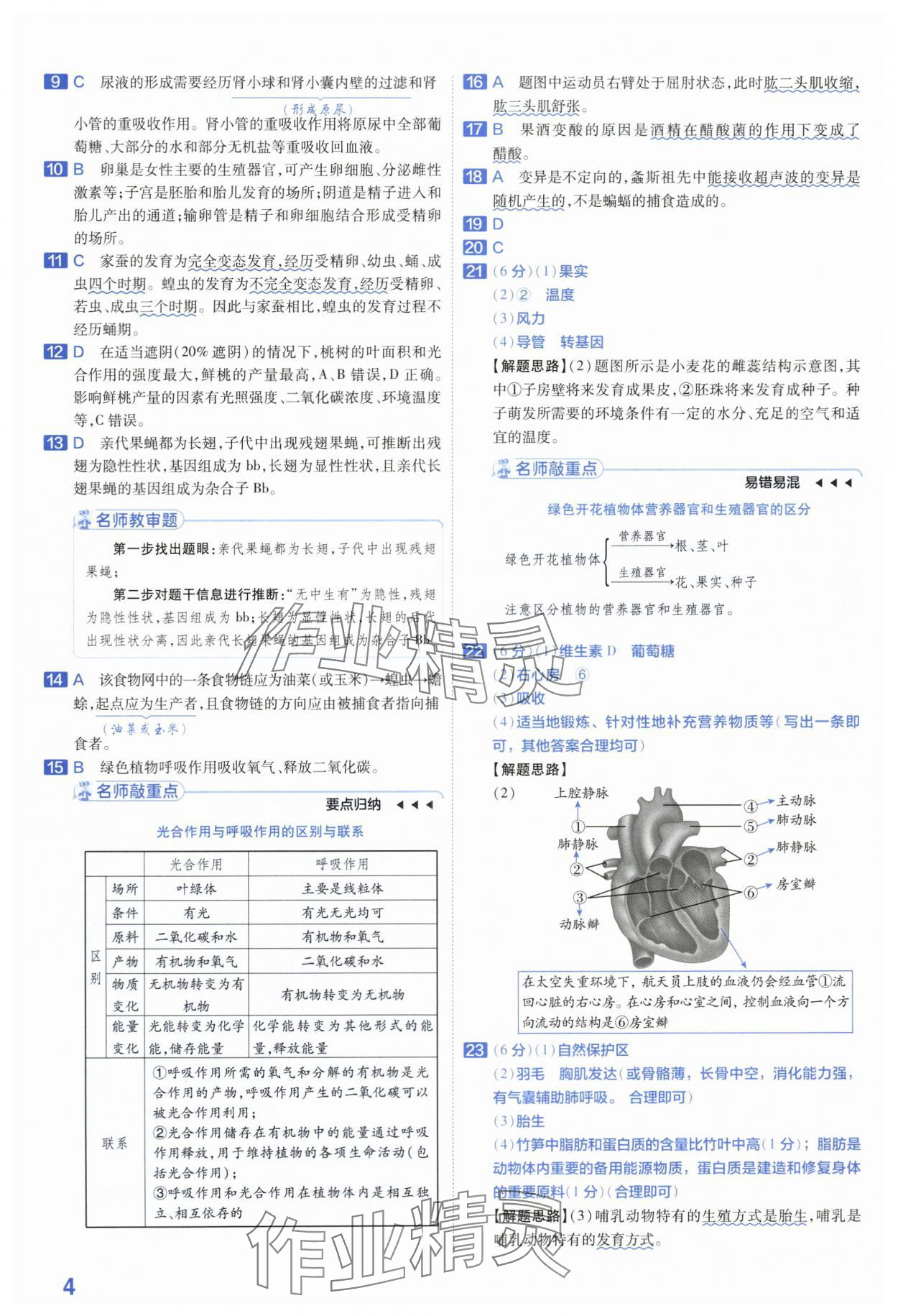 2024年金考卷45套汇编生物河南专版 第4页