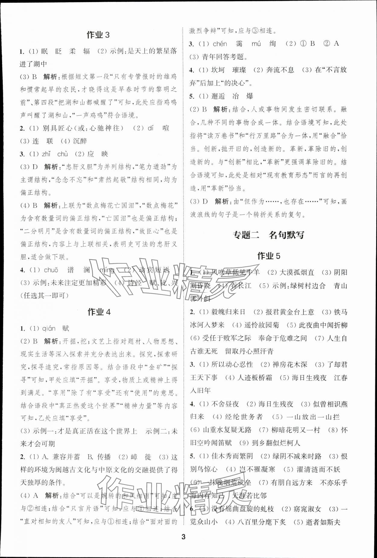 2024年通城學(xué)典課時(shí)作業(yè)本中考復(fù)習(xí)語(yǔ)文江蘇專(zhuān)版 參考答案第2頁(yè)