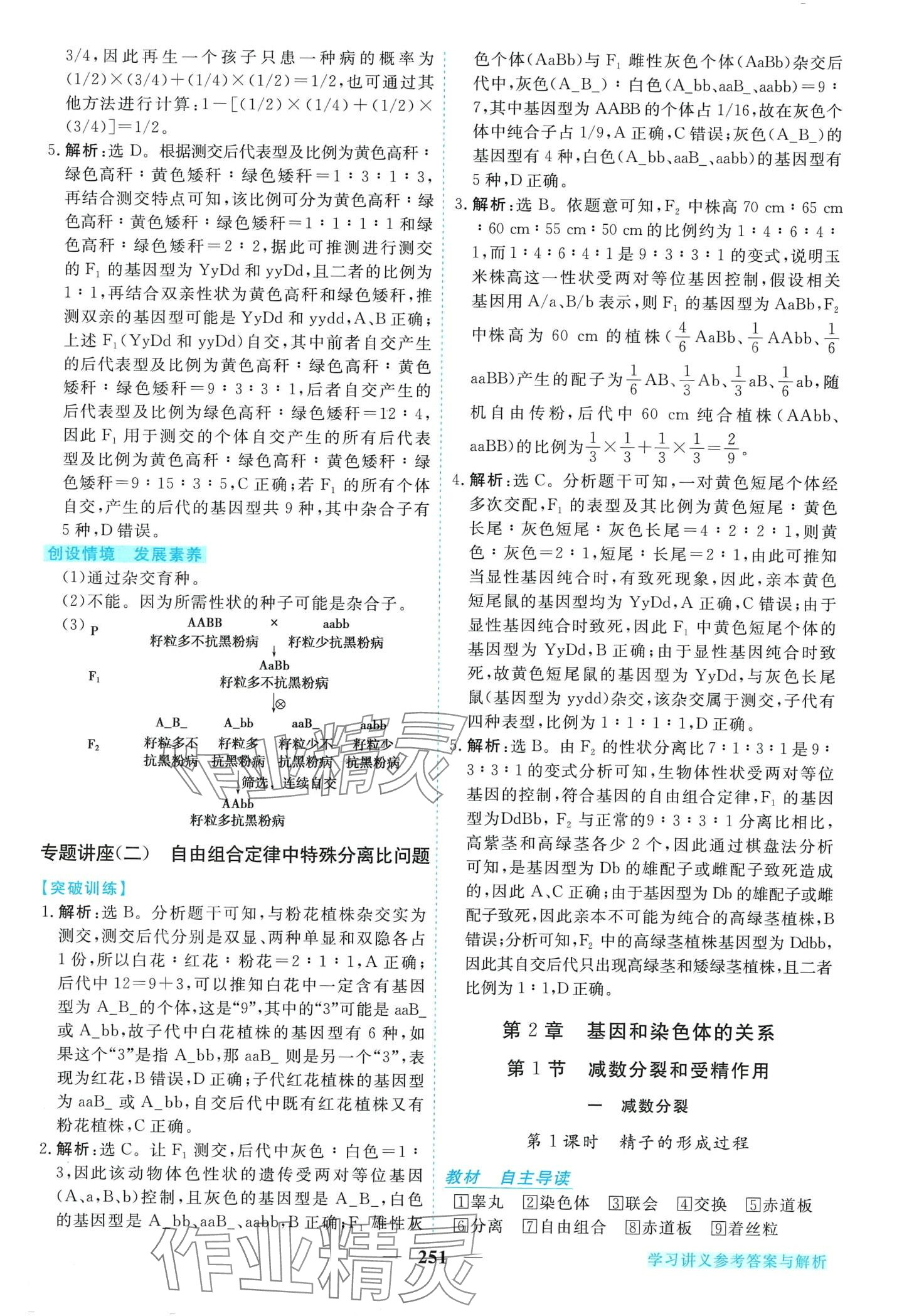 2024年新坐標(biāo)同步練習(xí)高中生物必修2人教版 第6頁