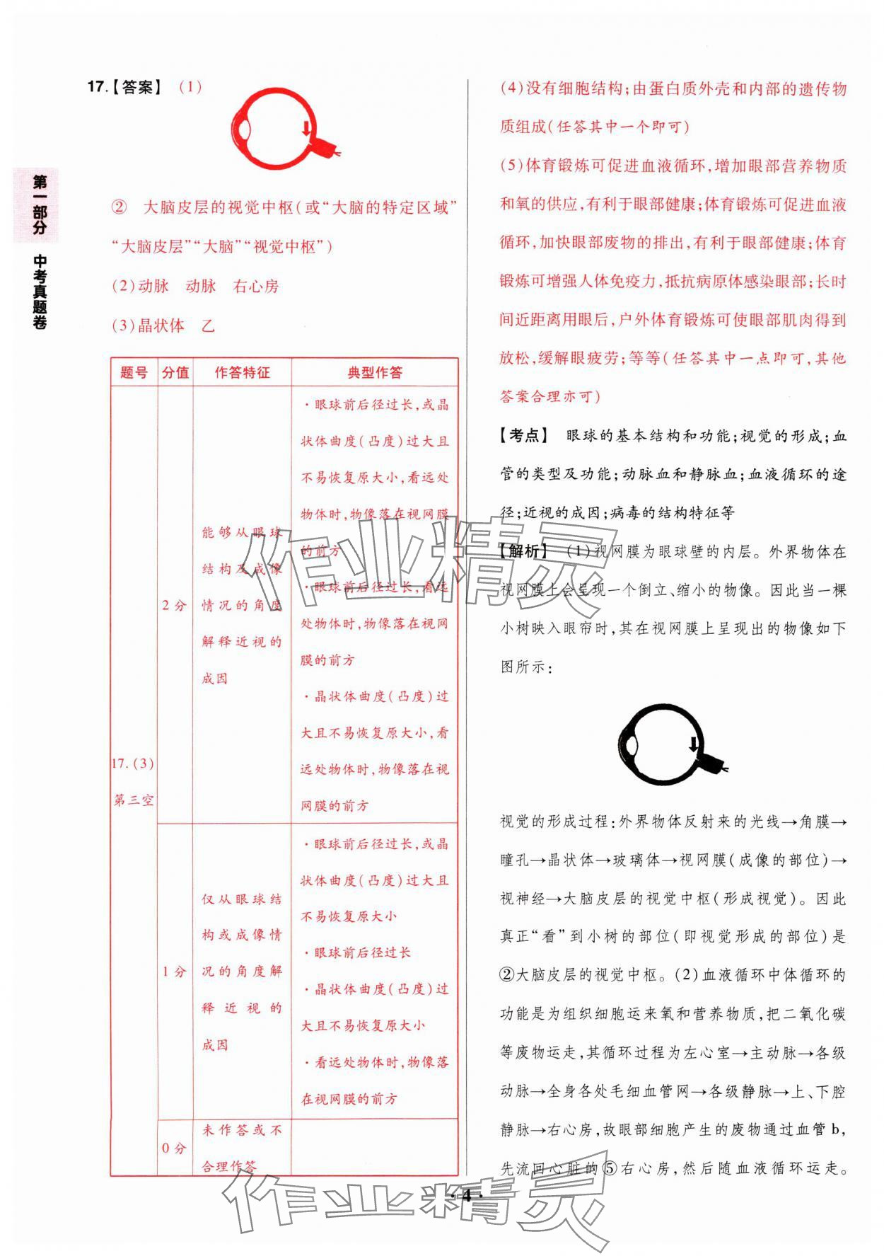 2025年晉一中考山西真題生物 參考答案第4頁