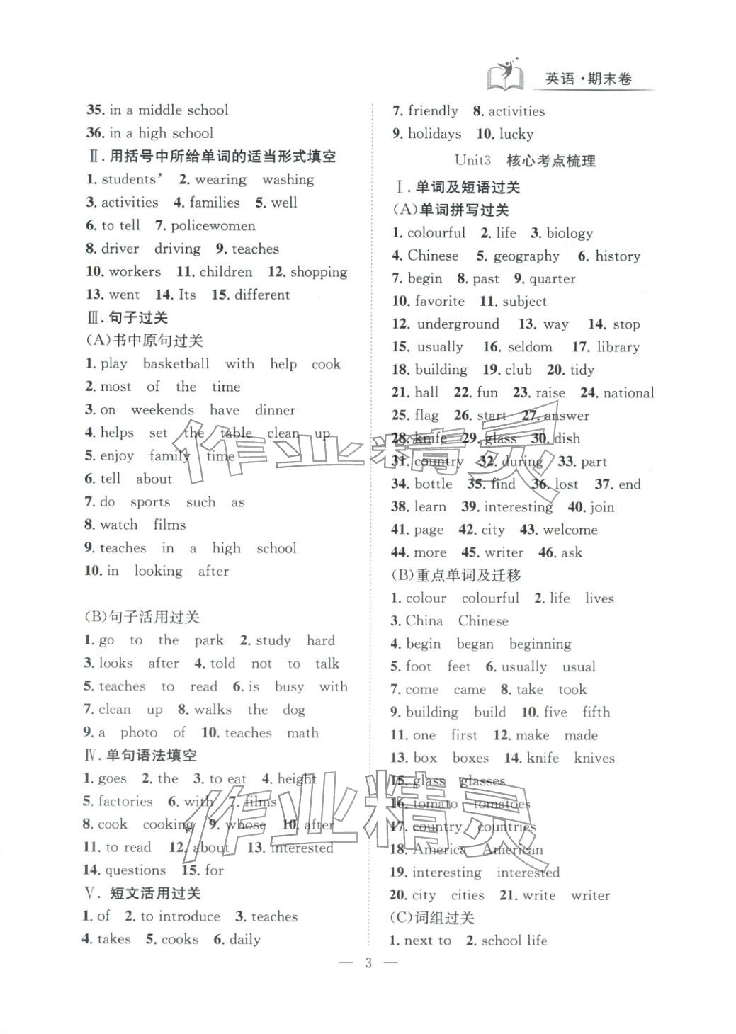 2025年刷考點期末必刷卷七年級英語上冊課標版河南專版&nbsp;第3頁