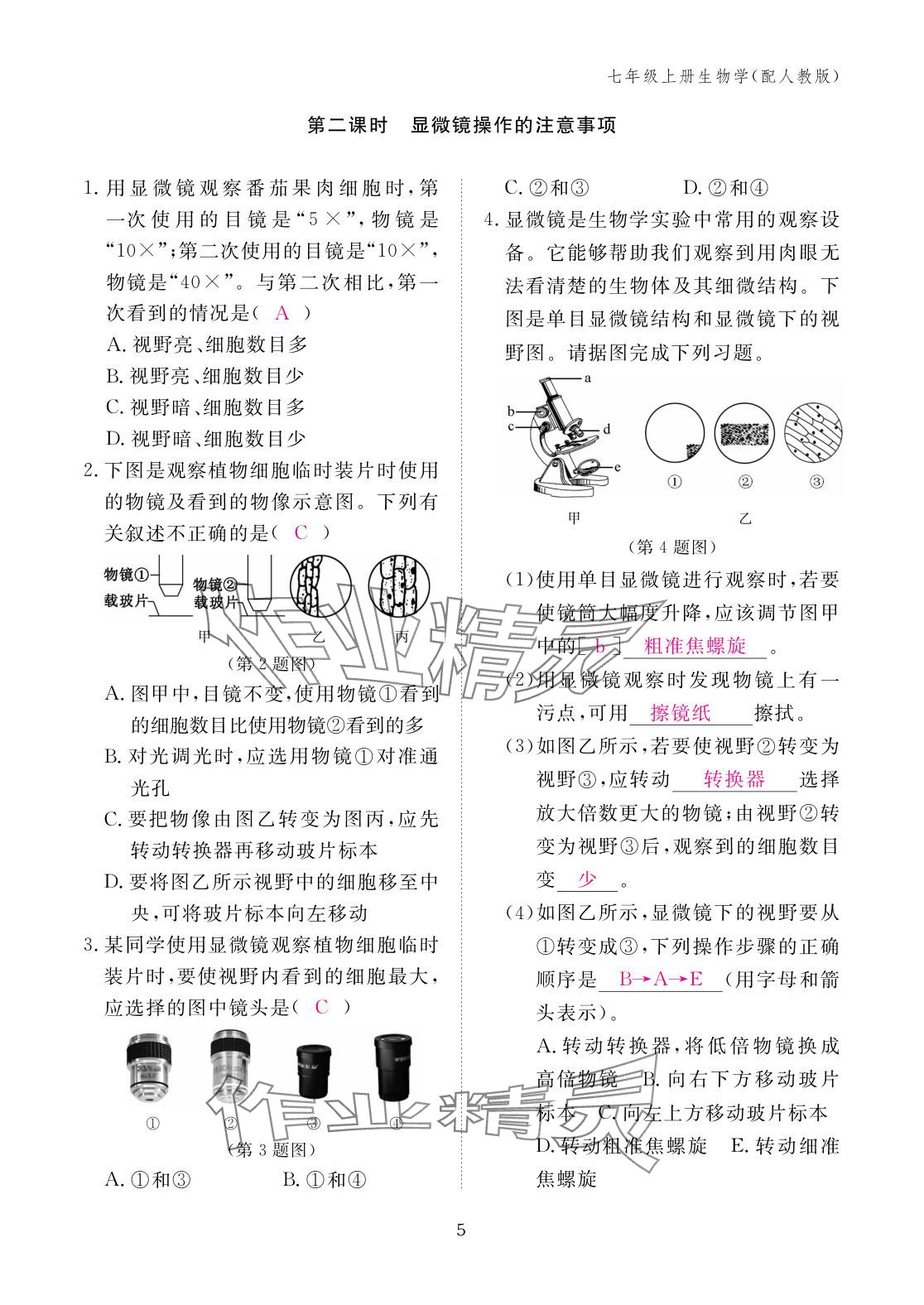 2025年作业本江西教育出版社七年级生物上册人教版 参考答案第5页