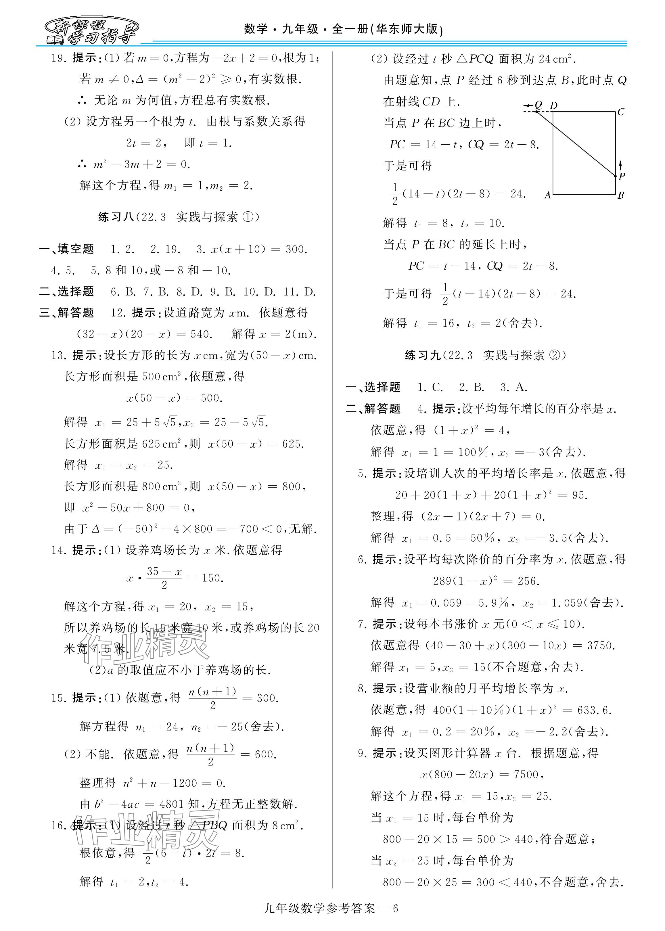 2025年新課程學習指導九年級數(shù)學全一冊華師大版 參考答案第6頁