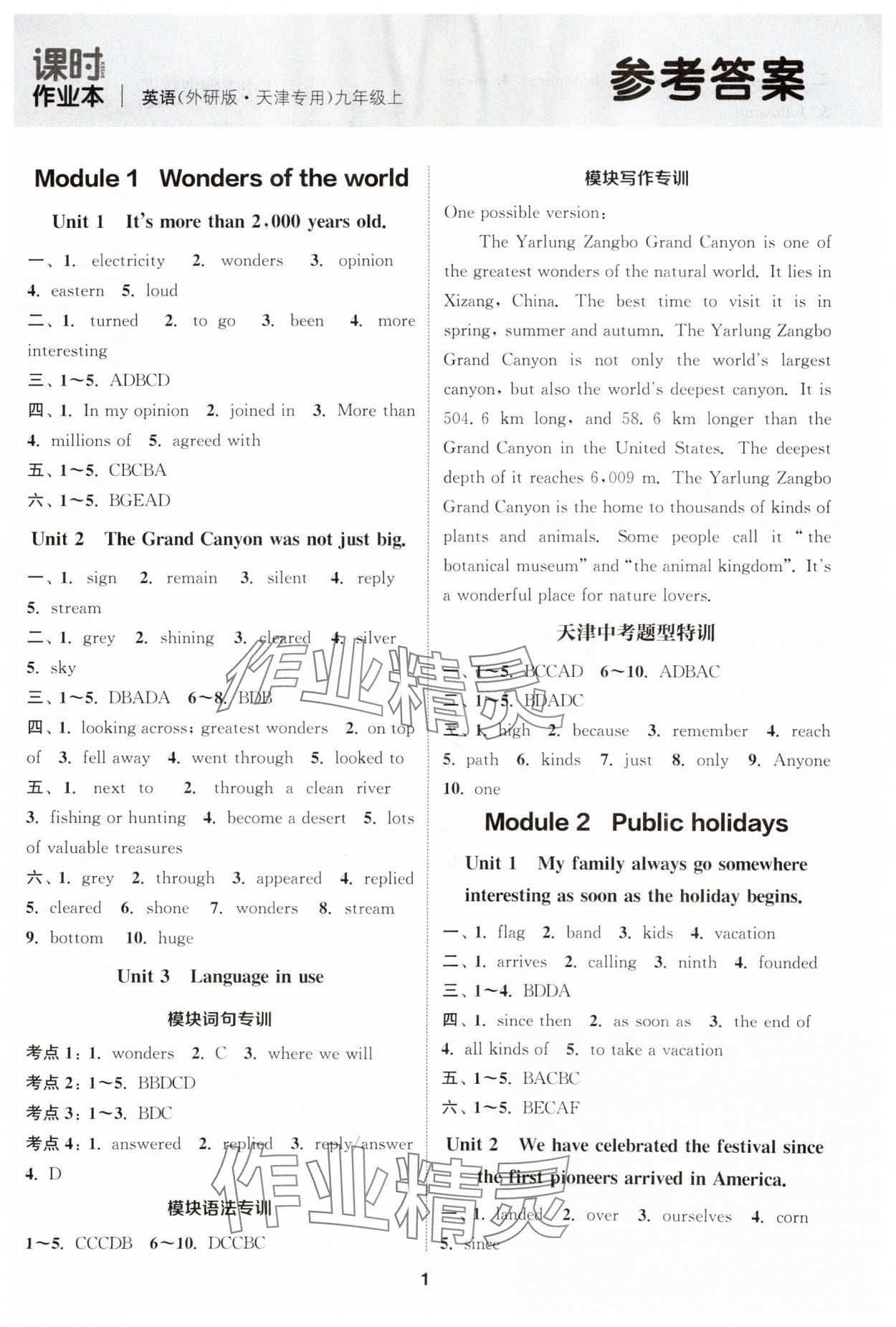 2025年通城学典课时作业本九年级英语上册外研版天津专版 第1页