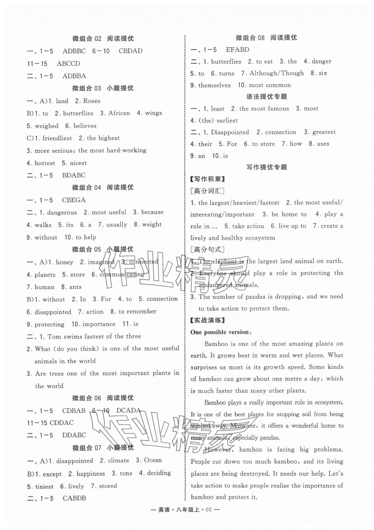 2025年学霸组合训练八年级英语上册人教版济南专版 第5页