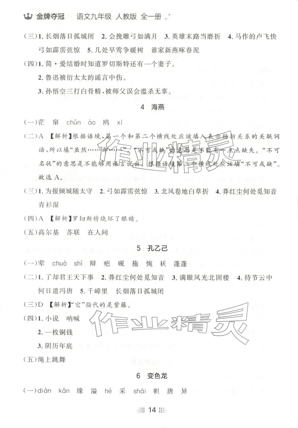 2025年点石成金金牌夺冠九年级语文全一册人教版辽宁专版&nbsp;第14页